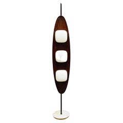 Goffredo Reggiani "Surf" Floor Lamp, Italy 1960s