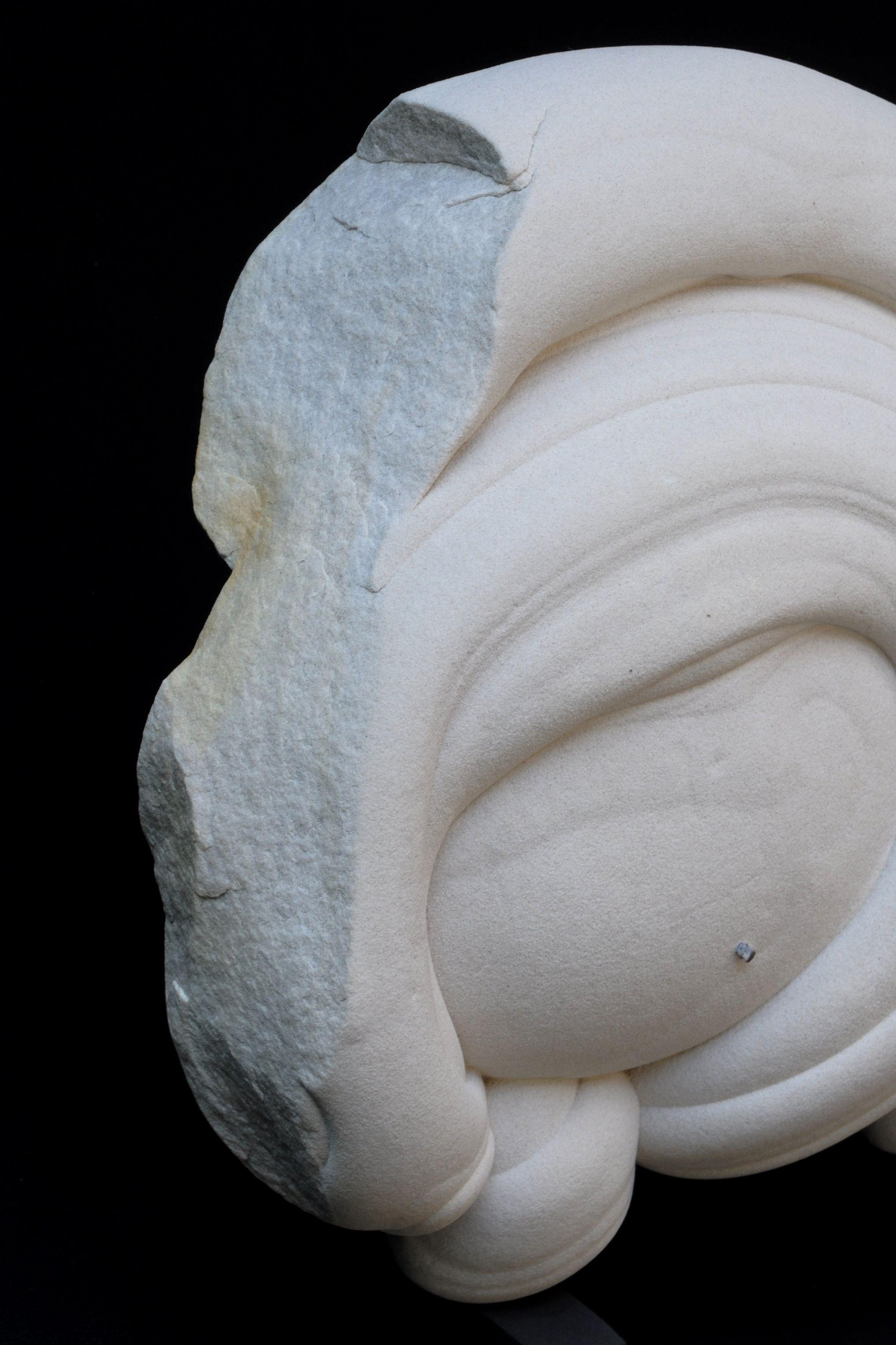 Persistenz (Naturalismus), Sculpture, von Gogotte Formation (Natural Sandstone Concretion)