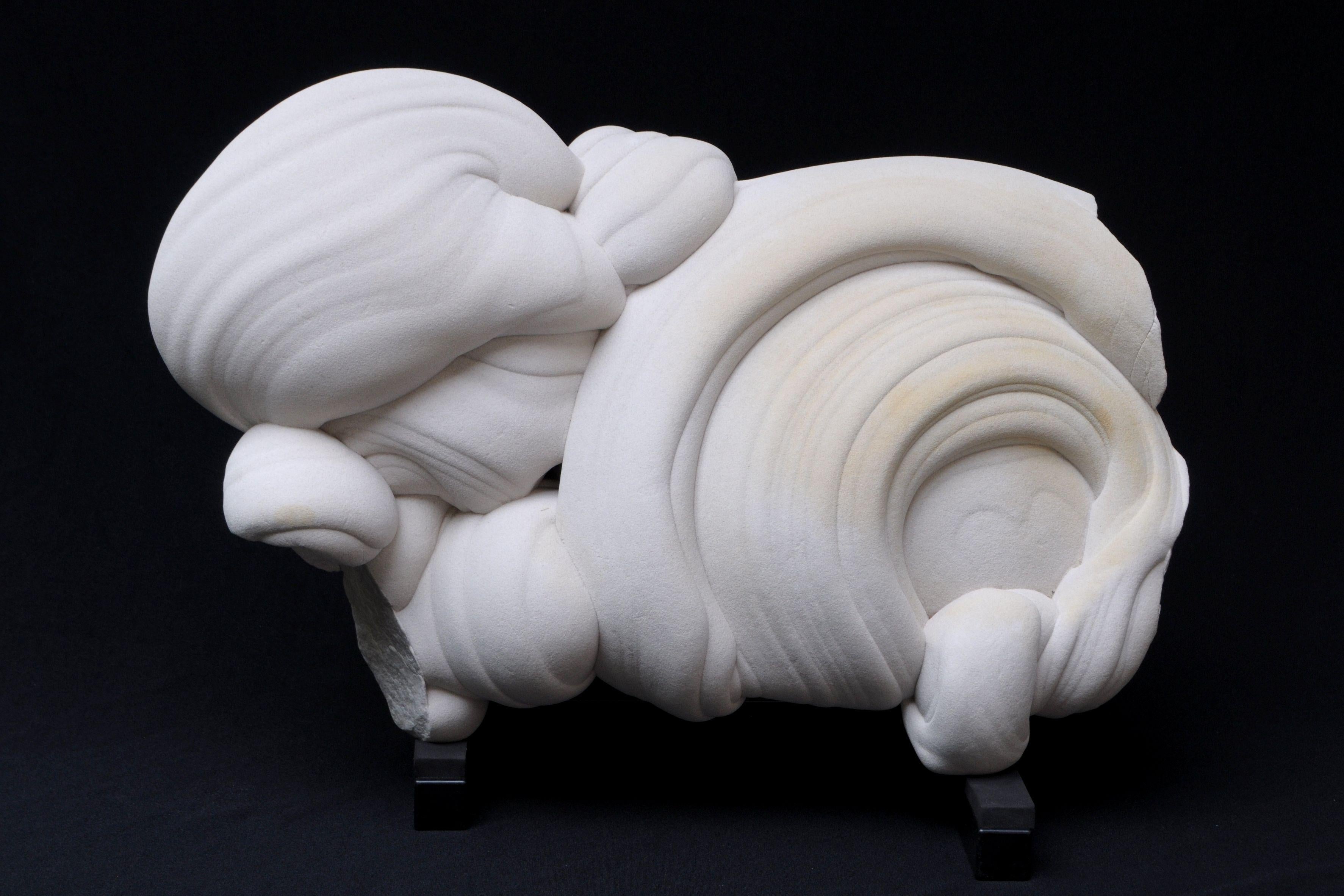 Gogotte Formation (Natural Sandstone Concretion) Abstract Sculpture – Persistenz