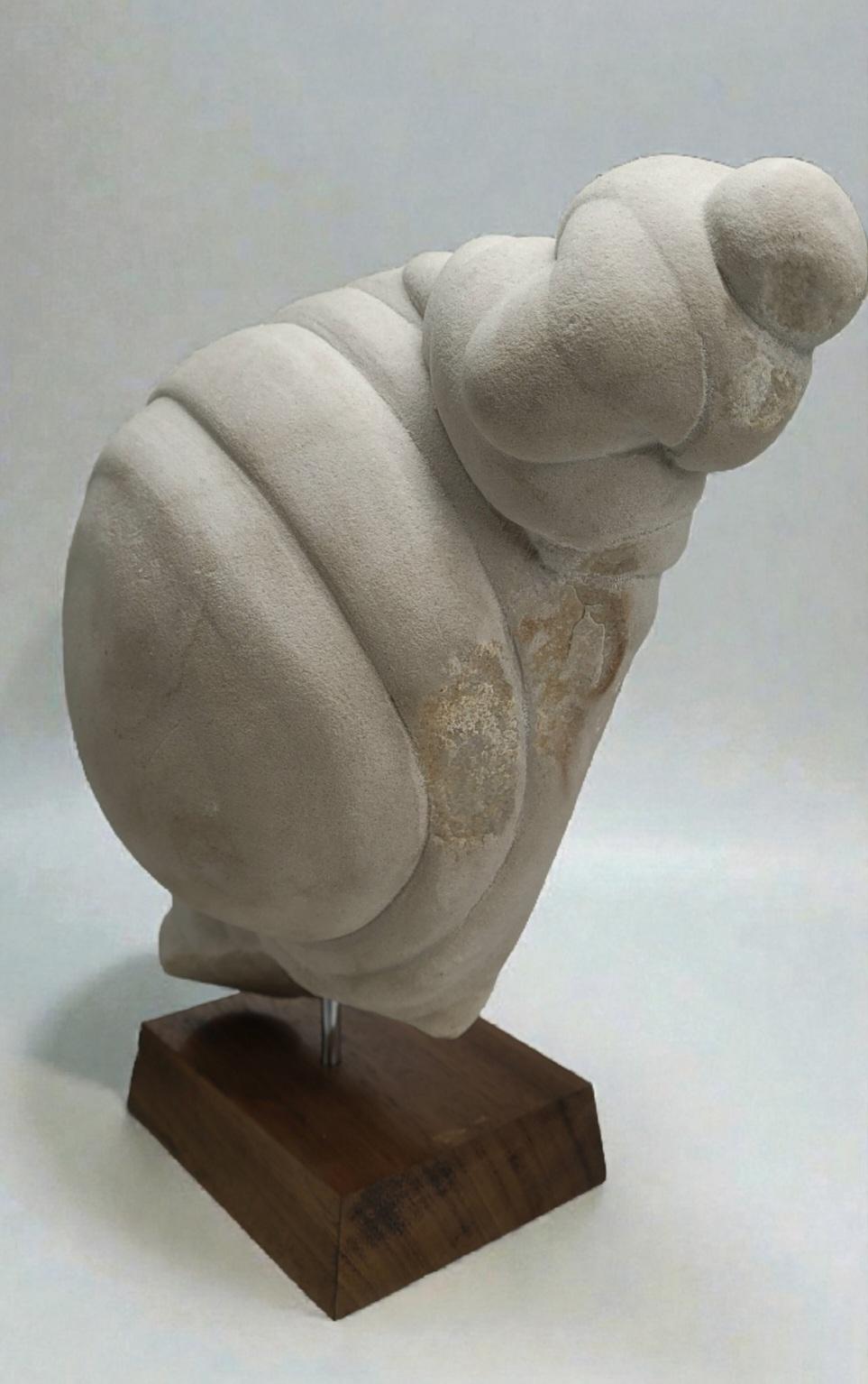 Gogotte from Fontainebleau, France Gres en venta