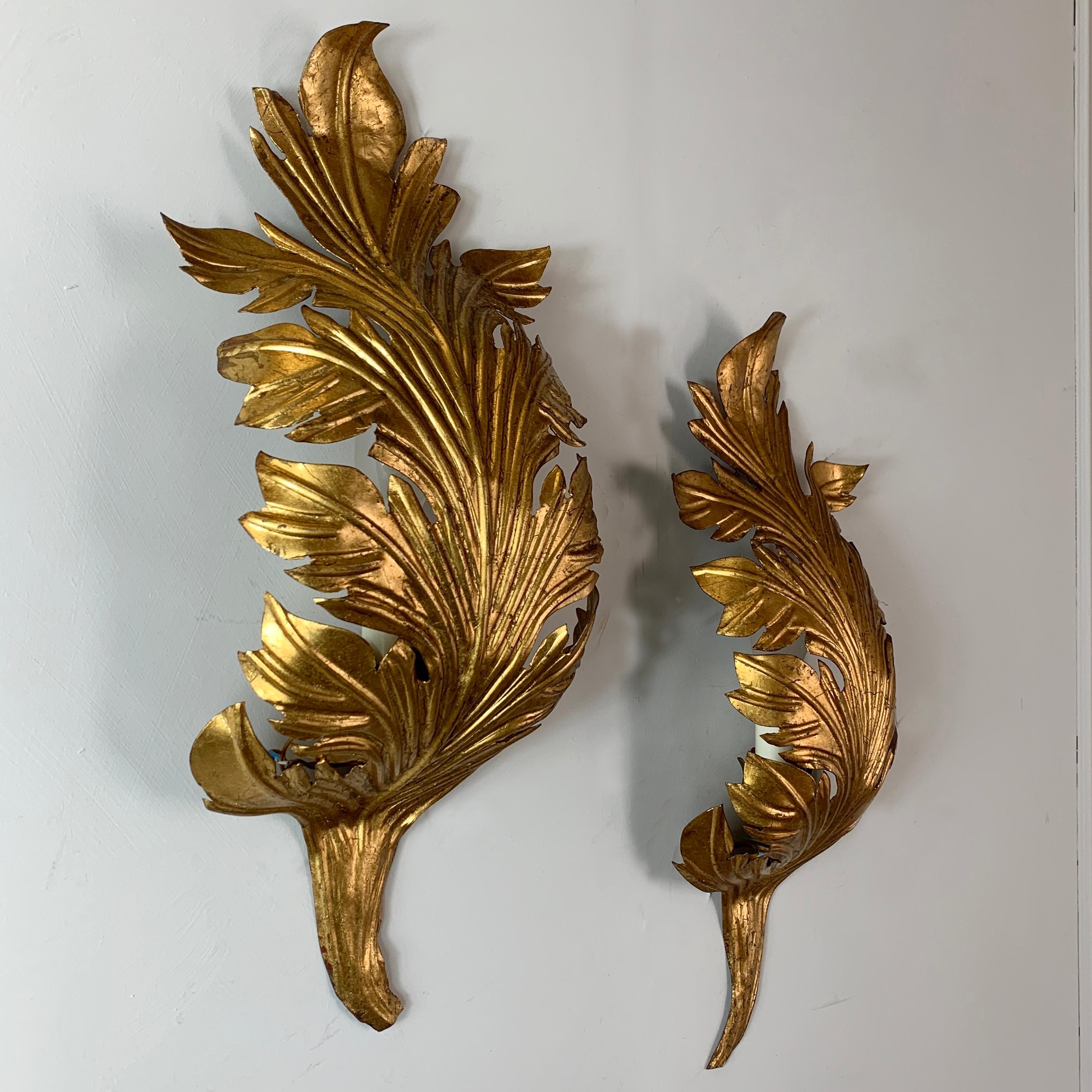 Gold Acanthus Leaf Wall Lights, circa 1960s 2