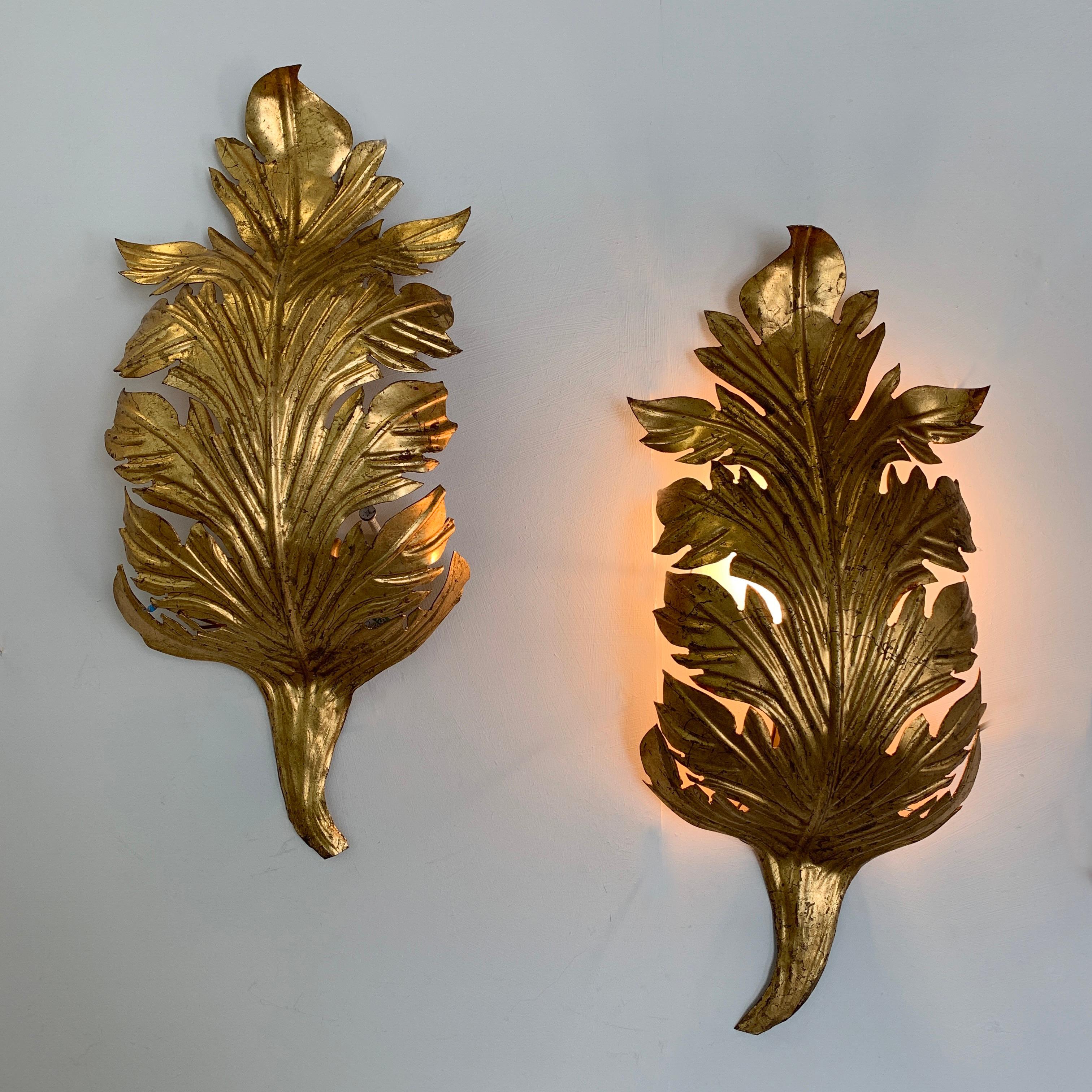 Gold acanthus leaf wall lights, circa 1960s
Beautiful handcrafted acanthus leaf shaped lights
French/Italian origin
Measures: 45cm height, 20cm width, 8cm depth
Pat Tested
Price is for the pair, 2 lights. 1 pair available
We have just lit one