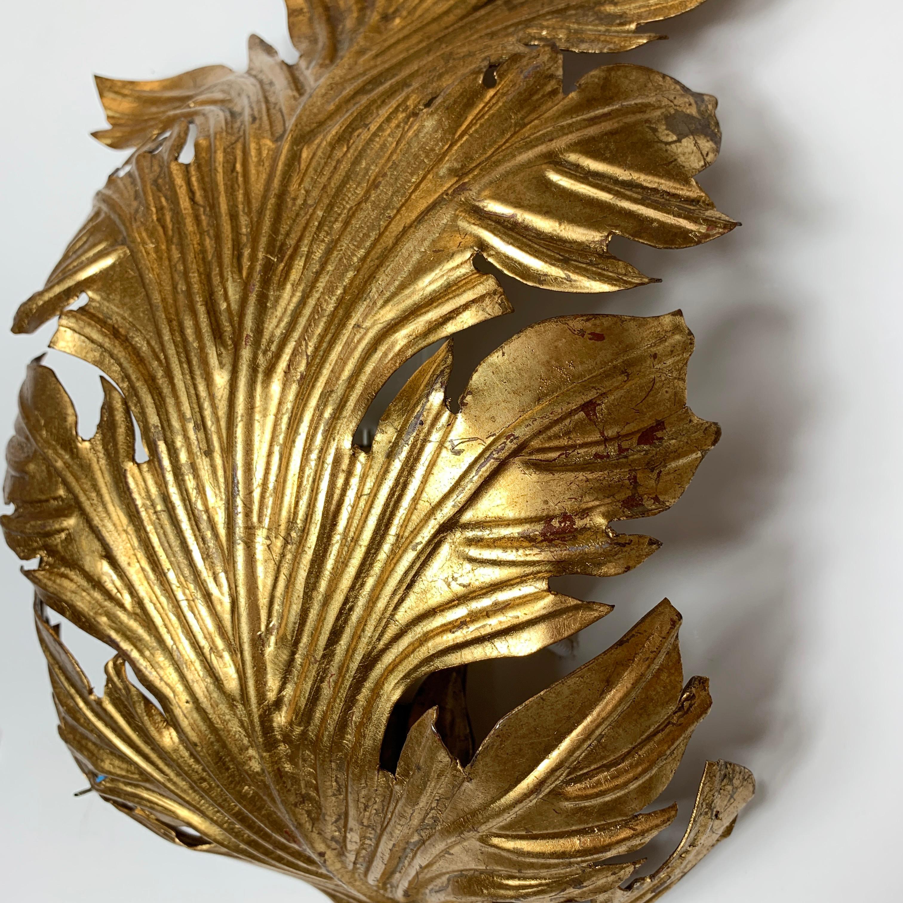 French Gold Acanthus Leaf Wall Lights, circa 1960s