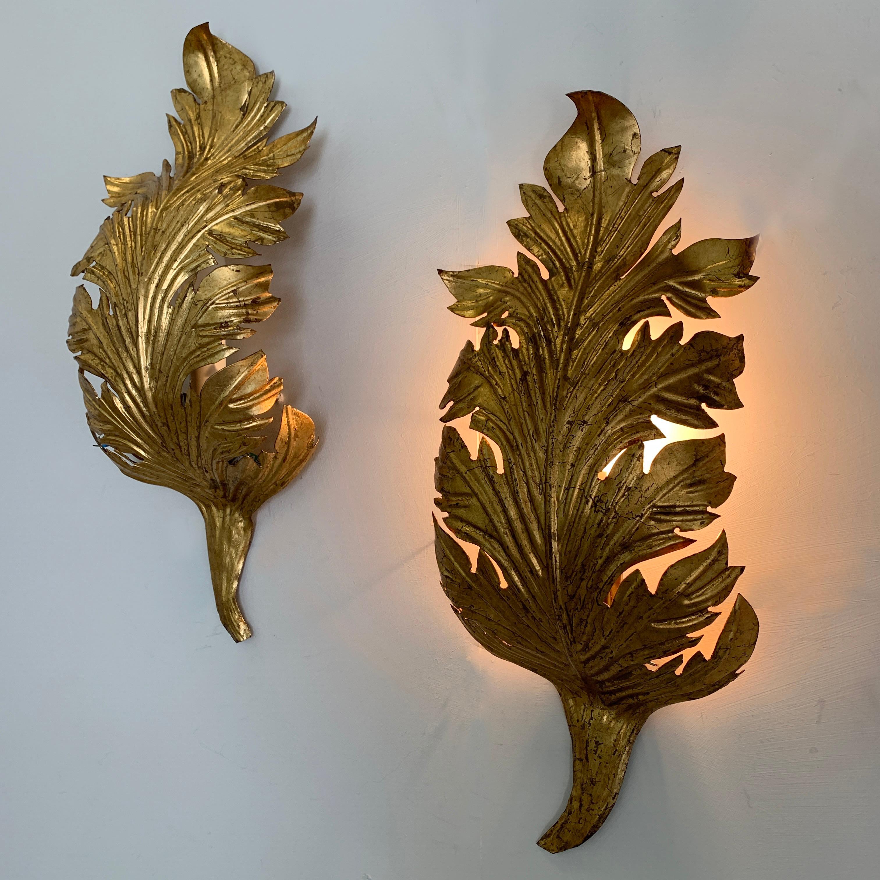 Hand-Crafted Gold Acanthus Leaf Wall Lights, circa 1960s