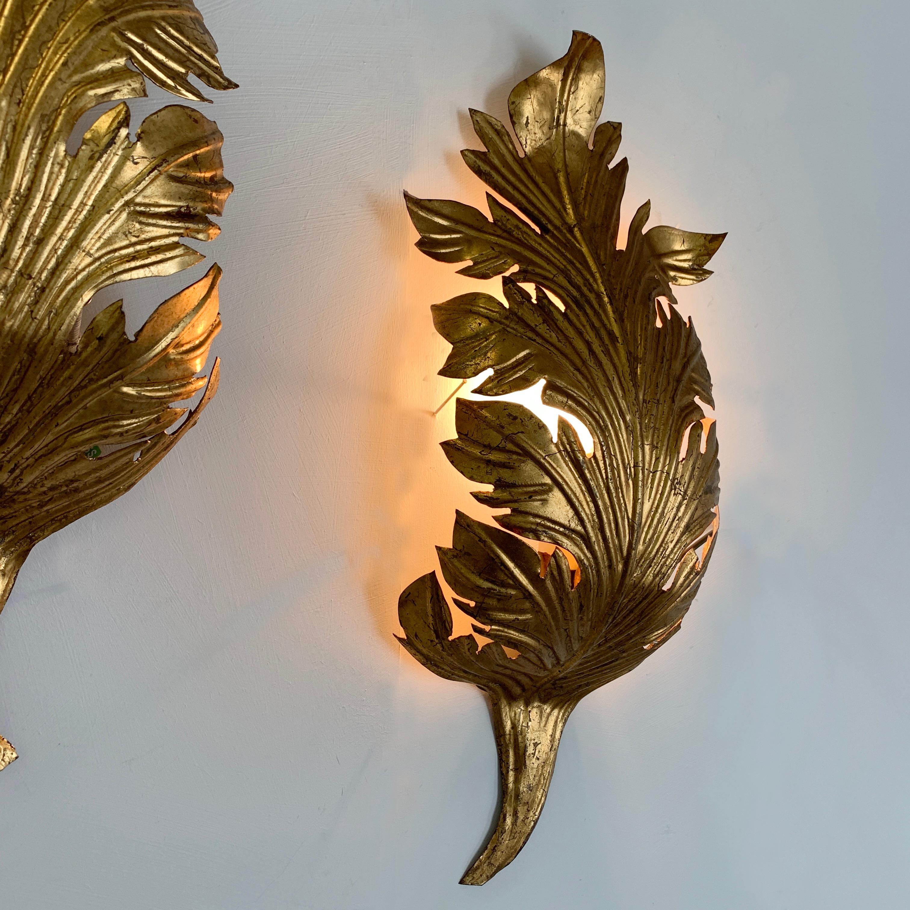 Gold Acanthus Leaf Wall Lights, circa 1960s In Good Condition In Hastings, GB