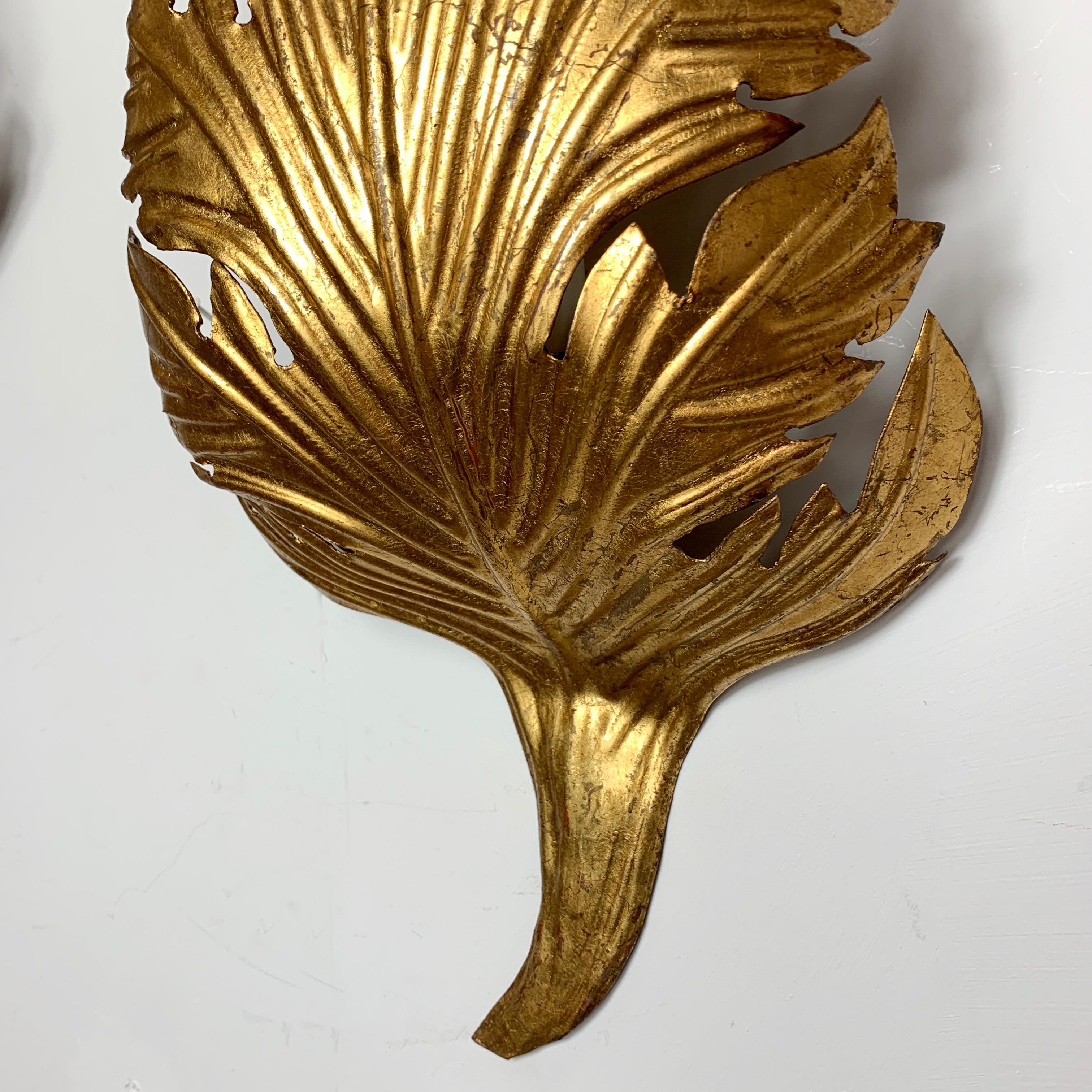 Gold Acanthus Leaf Wall Lights, circa 1960s 1