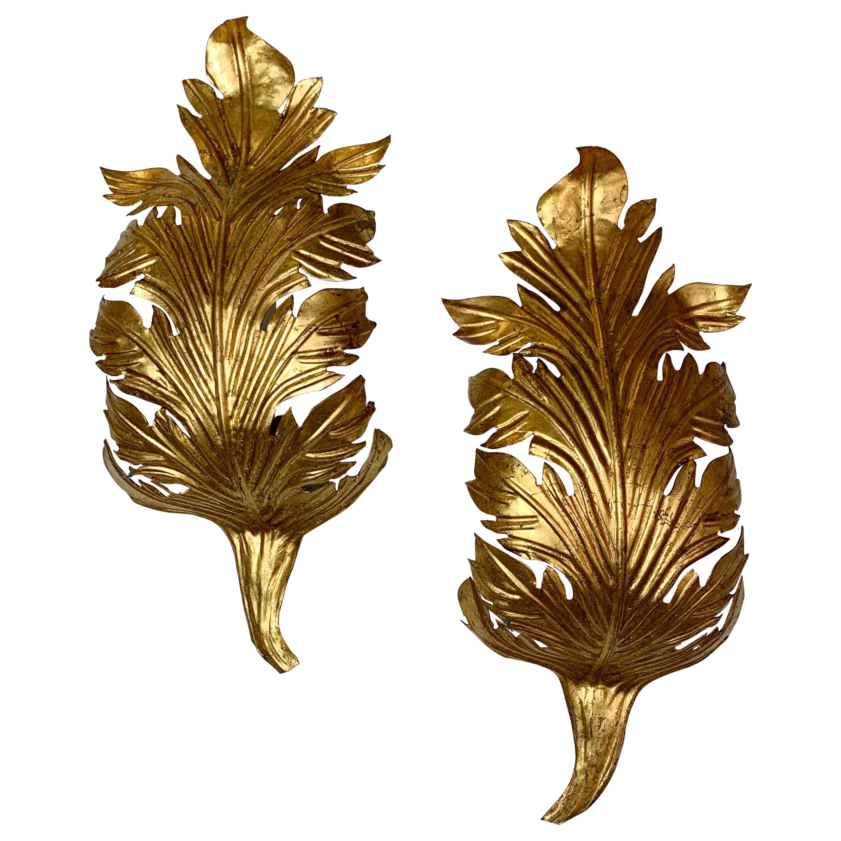 Gold Acanthus Leaf Wall Lights, circa 1960s