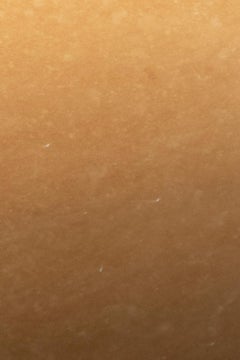 Gold and Black WG.C1.B Hand-Crafted Wall Mirror