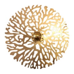 Applique in ottone dorato - Gaetano Corail, Ø 40 cm