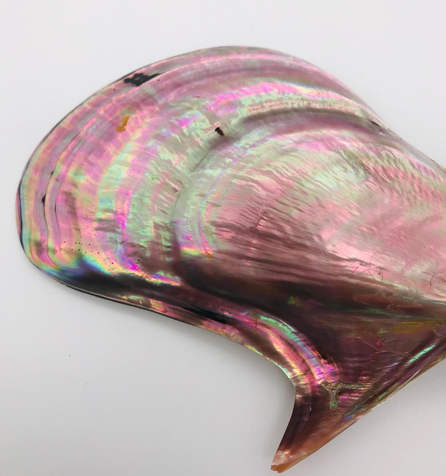 Gold/brown iridescent nacre , Pteria Penguin Silvered Pendant, by Sylvia Gottwald For Sale 1