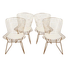 Gold Chrome Steel Chairs in the Style of Harry Bertoia - A Set of 4