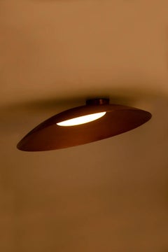 Gold Eclipse Stainless Steel Ceiling Light by Hatsu