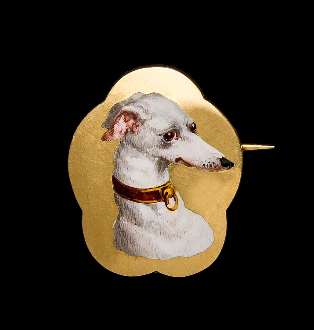 greyhound dog 1902
