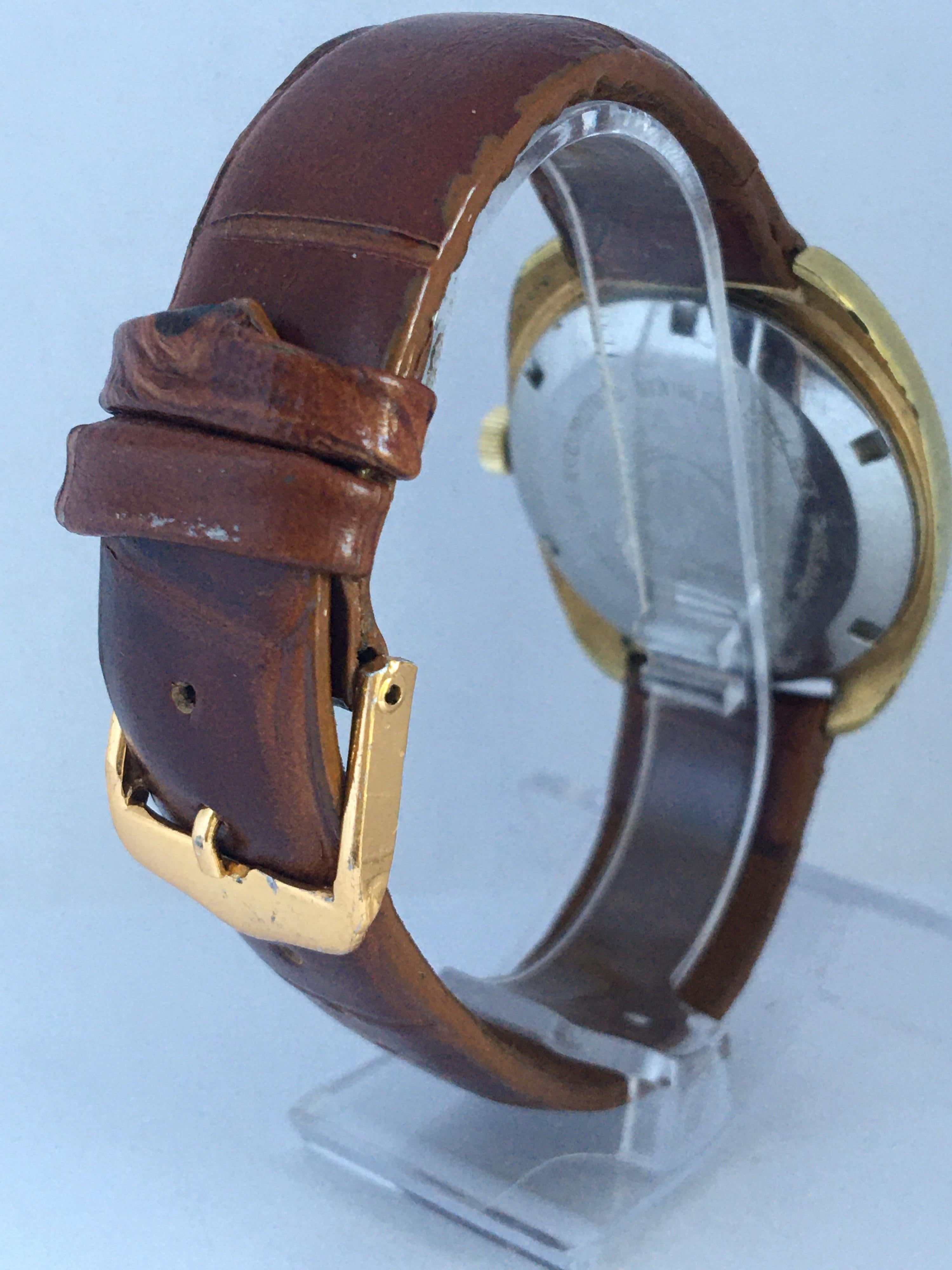 delfin watch