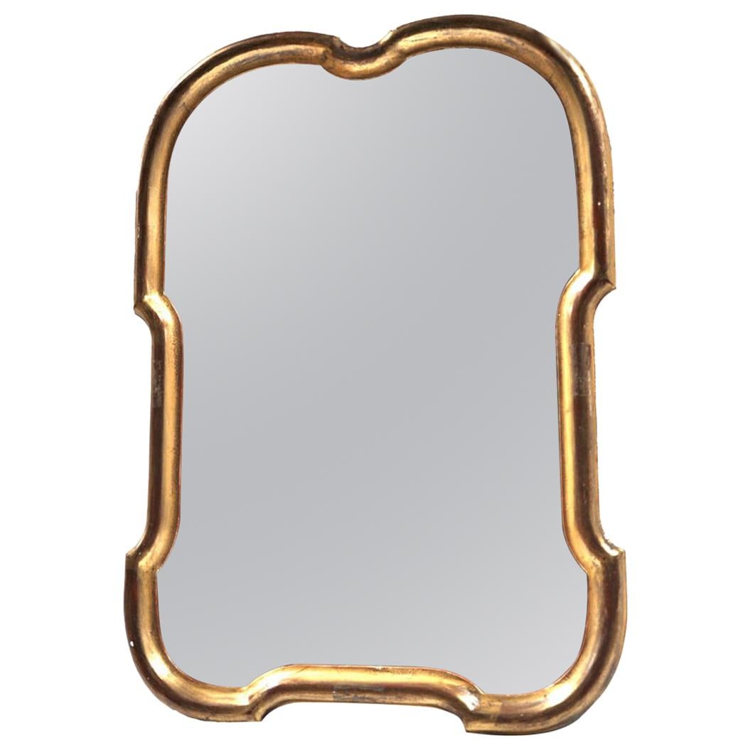 Gold Framed Mirror For Sale
