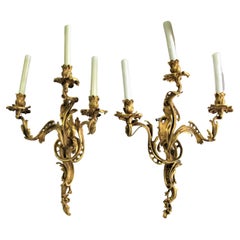 Gold Gilded Louie Sconces XV Pair