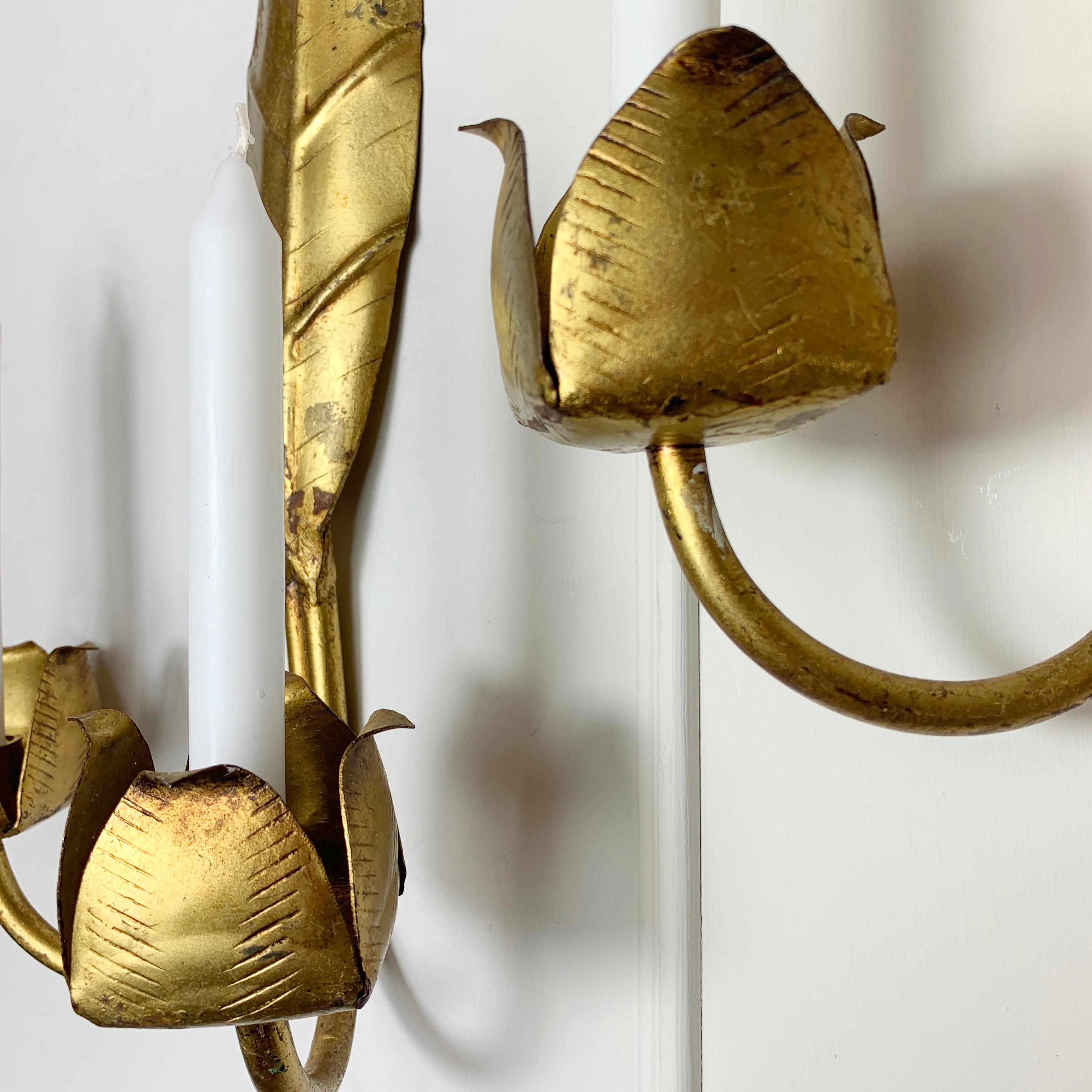 Gold Leaf Candle Sconces Mid Century French  For Sale 2