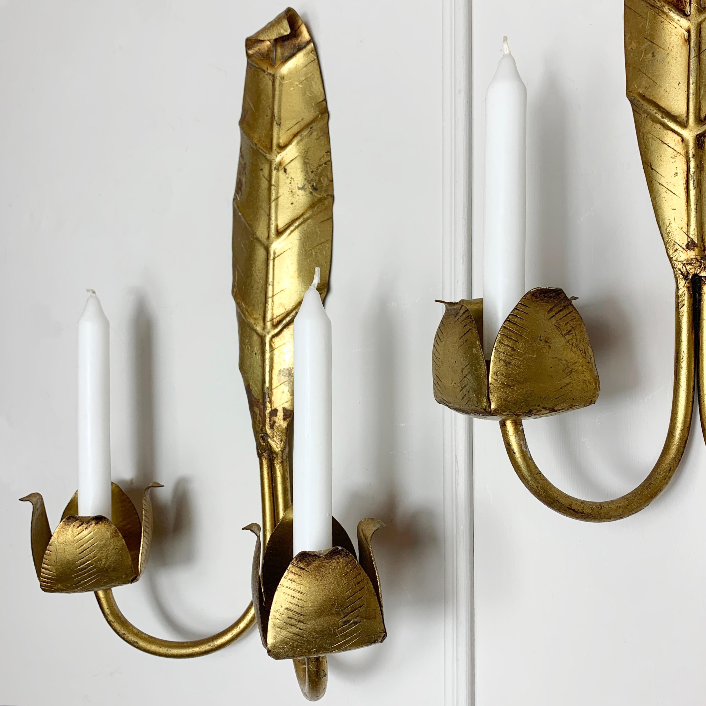 Gold Leaf Candle Sconces Mid Century French  For Sale 3