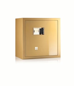 Segreto Oro Gold Contemporary Armored Jewelry Case Safe