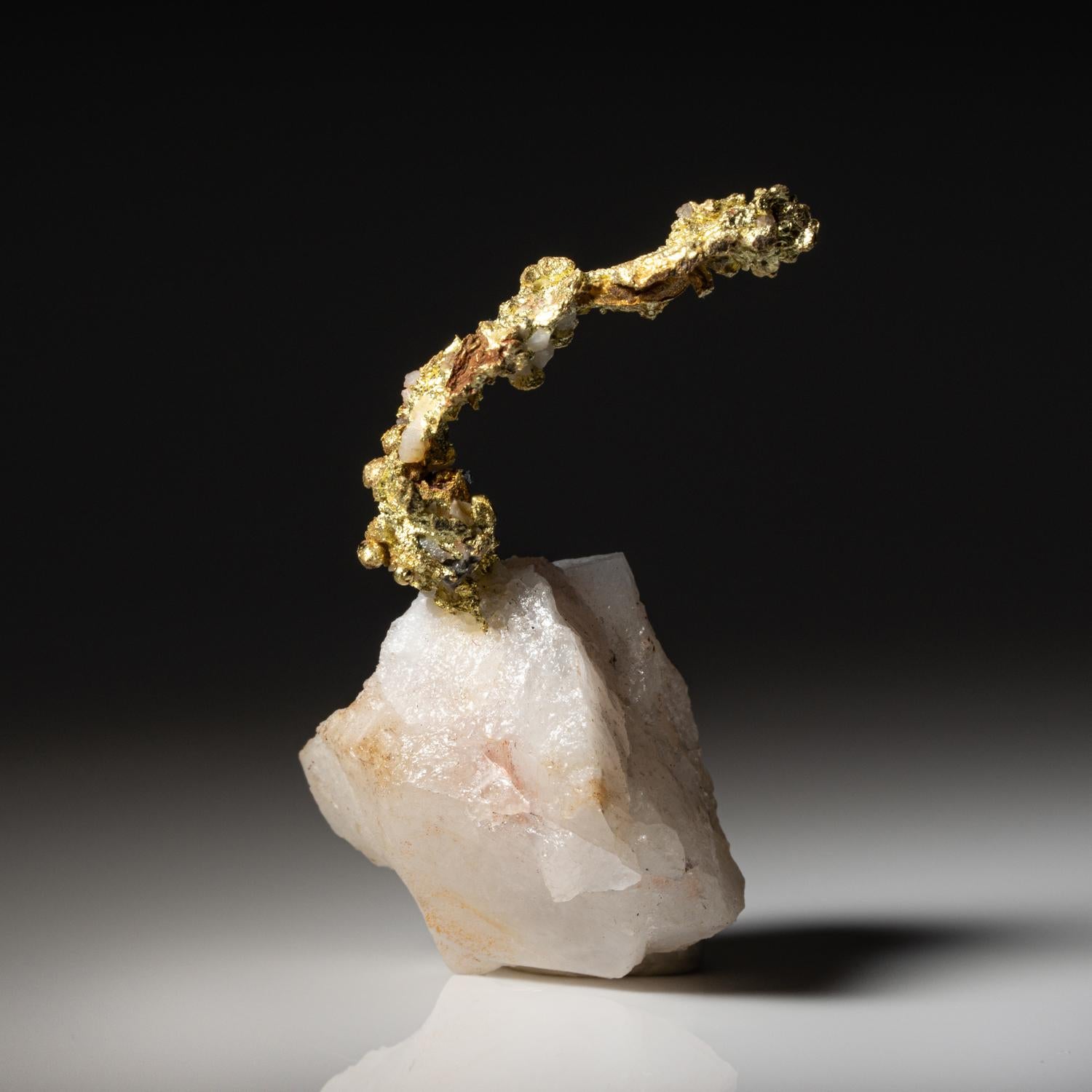 aus Aouint Ighoman, Provinz Assa-Zag, Region Guelmim-Oued Noun, Marokko

 

Gut kristallisierte Goldstufe mit allseitiger Spinellverzwillingung. Das Gold befindet sich auf einer Quarzmatrix. Glänzender, goldgelber Glanz. Neuer Fund aus dem Jahr
