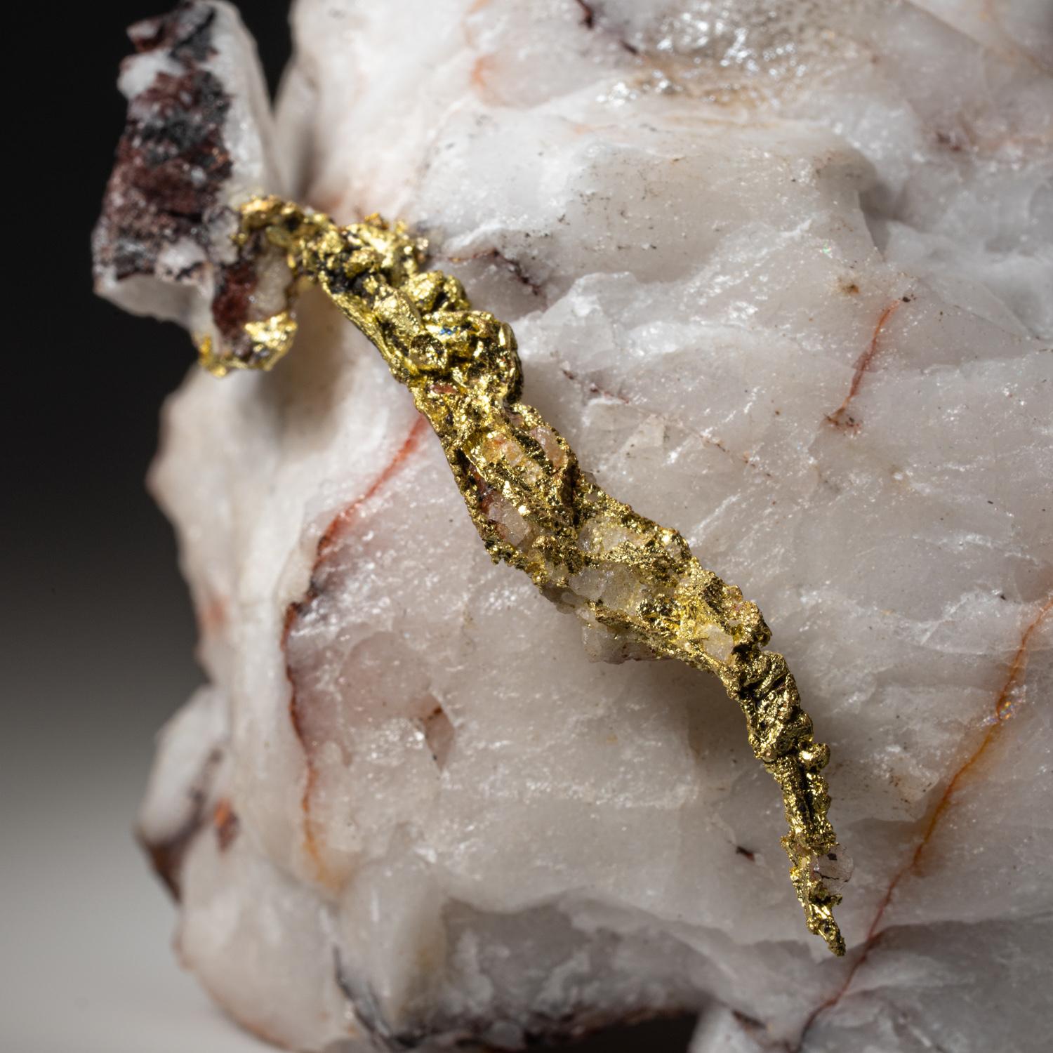 Gold on Quartz matrix from Guelmim-Oued Noun Region, Morocco In New Condition For Sale In New York, NY
