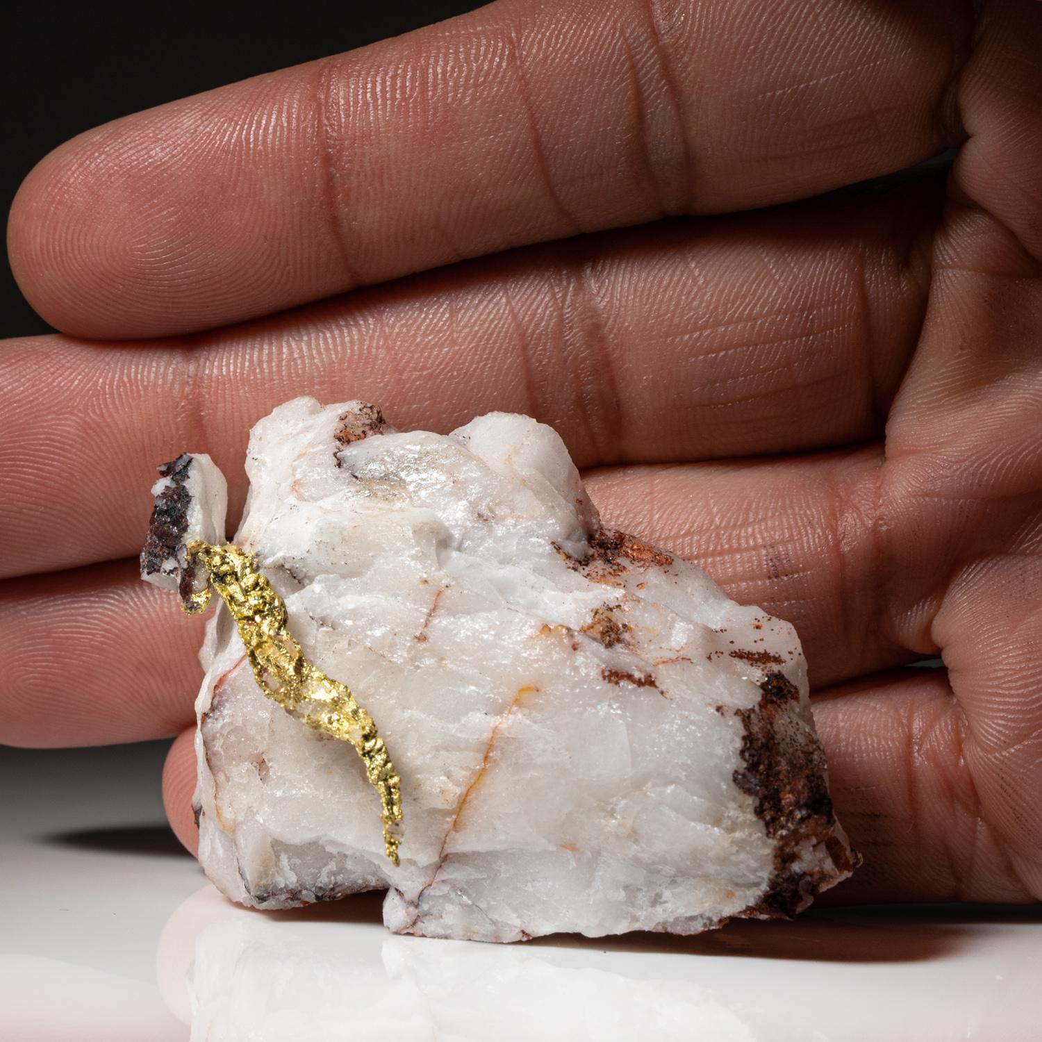 Crystal Gold on Quartz matrix from Guelmim-Oued Noun Region, Morocco For Sale