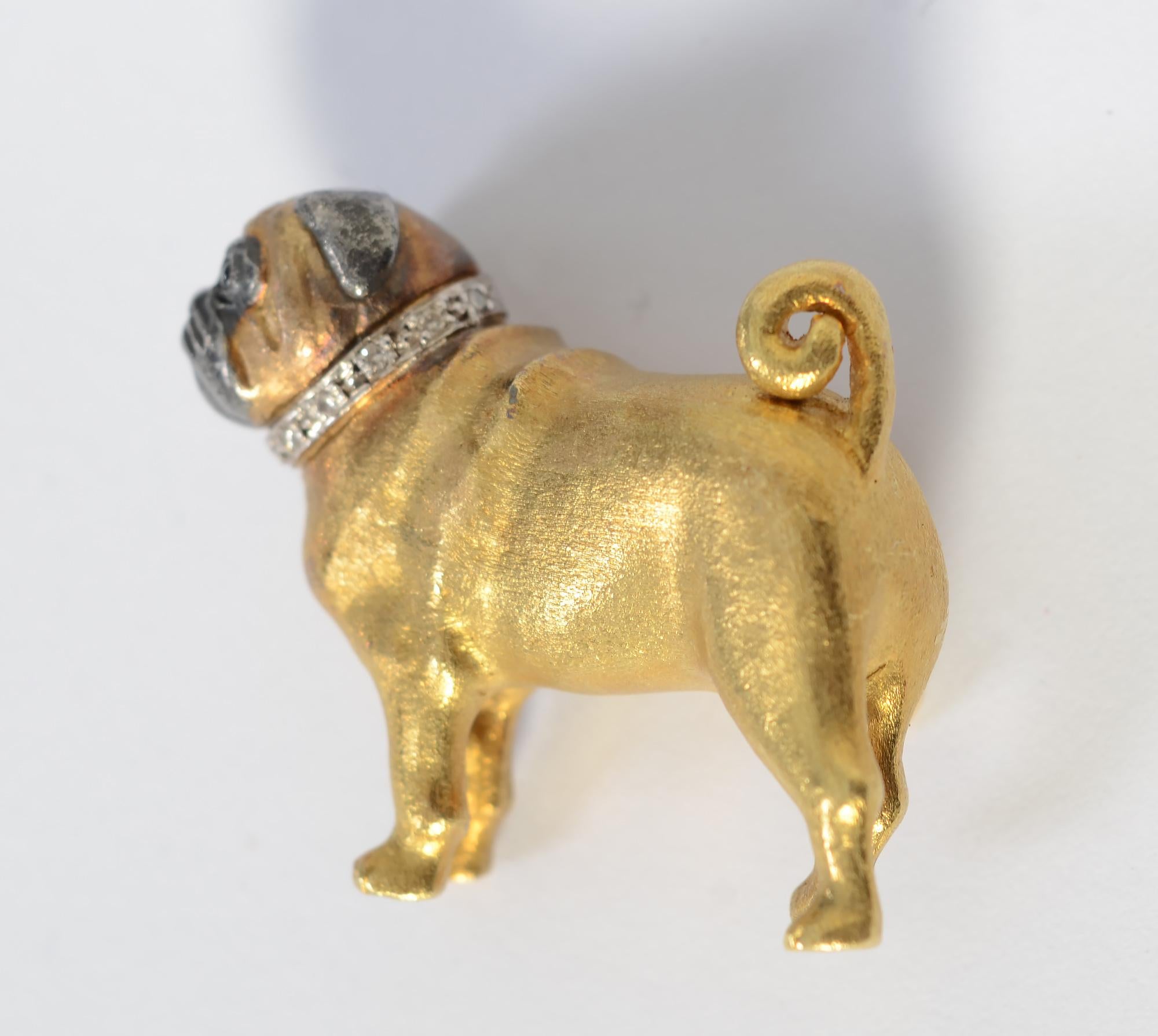 pug gold