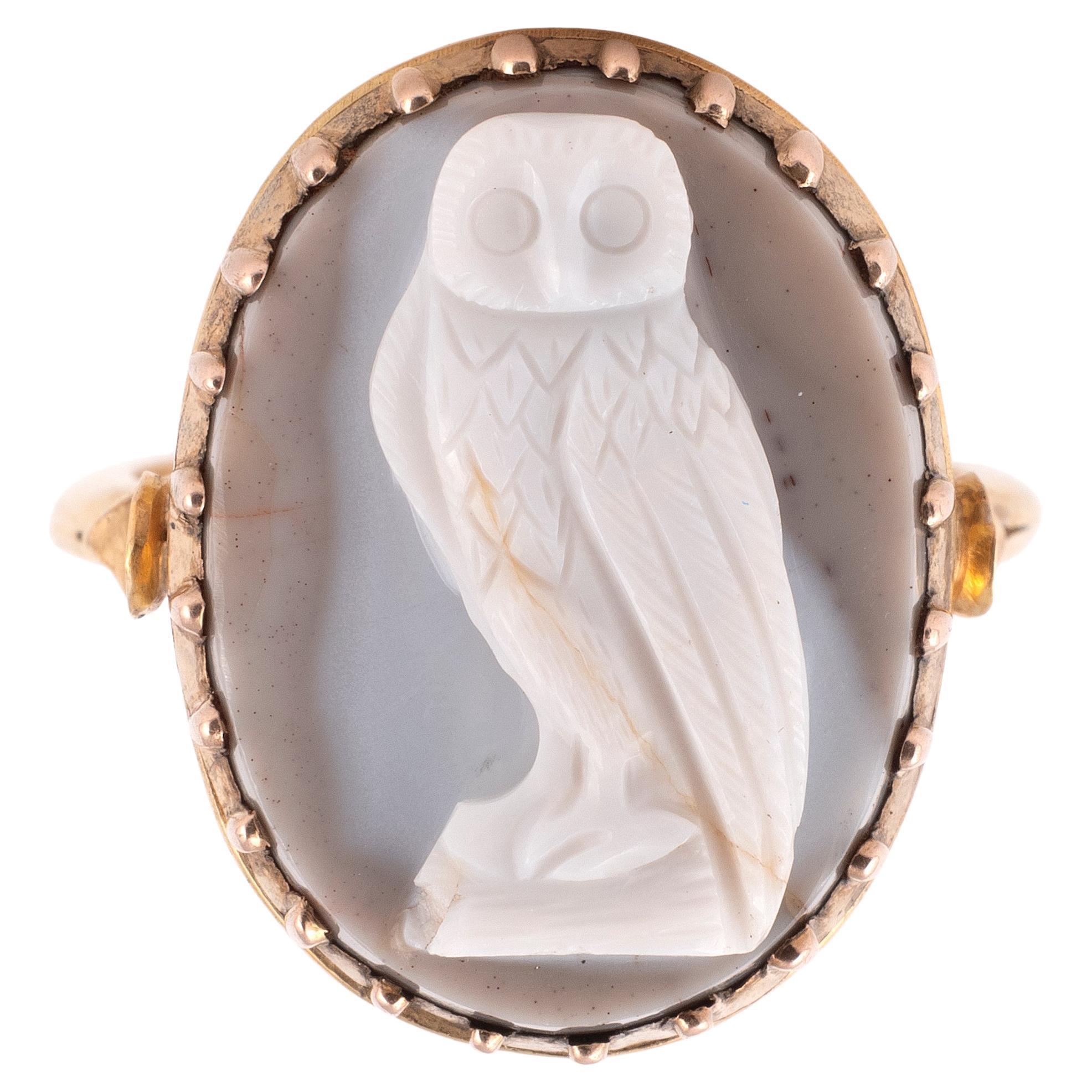 Gold Ring Set With An Agate Owl Cameo, Italian 17th century In Excellent Condition In Firenze, IT