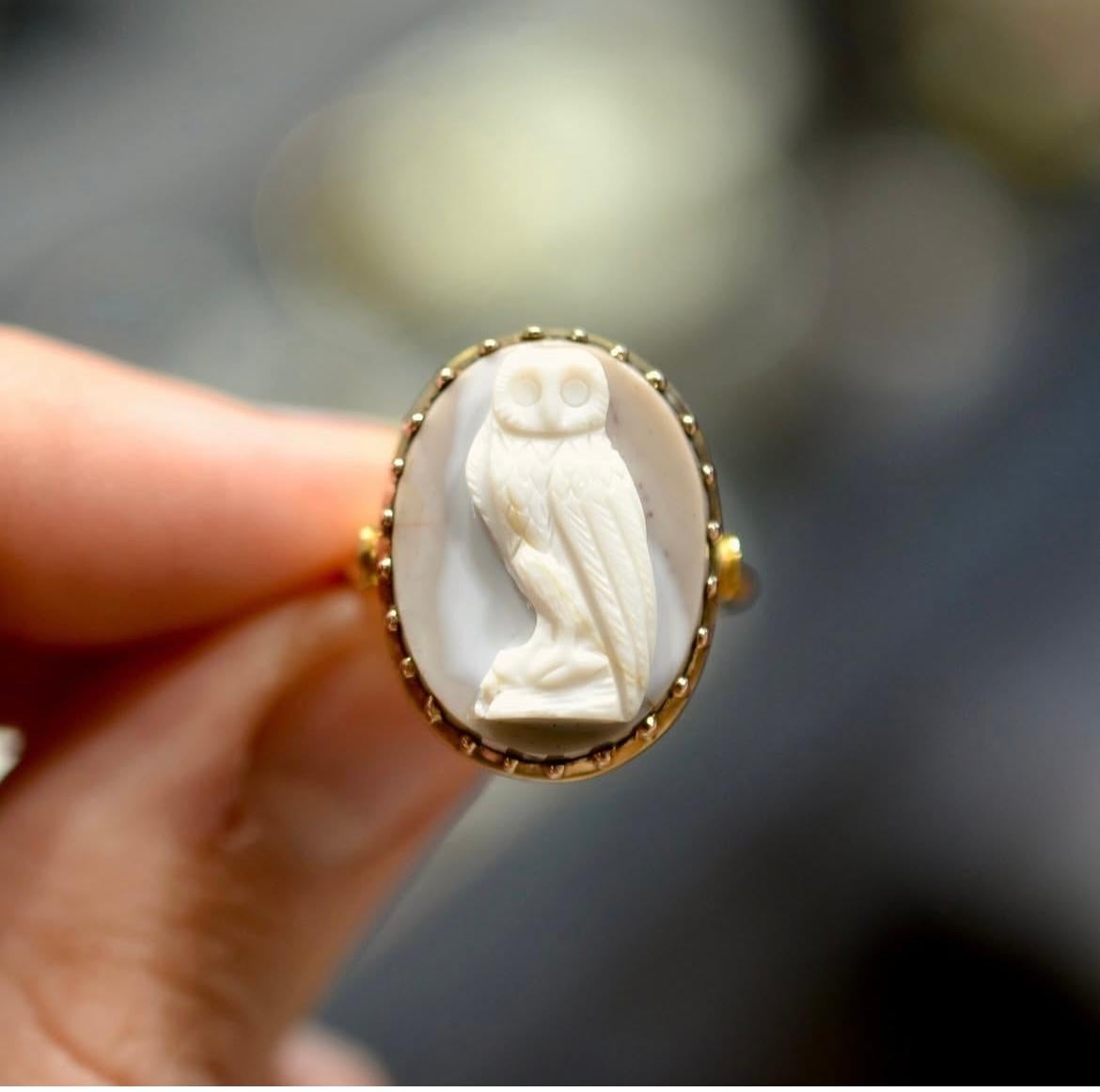 Women's or Men's Gold Ring Set With An Agate Owl Cameo, Italian 17th century