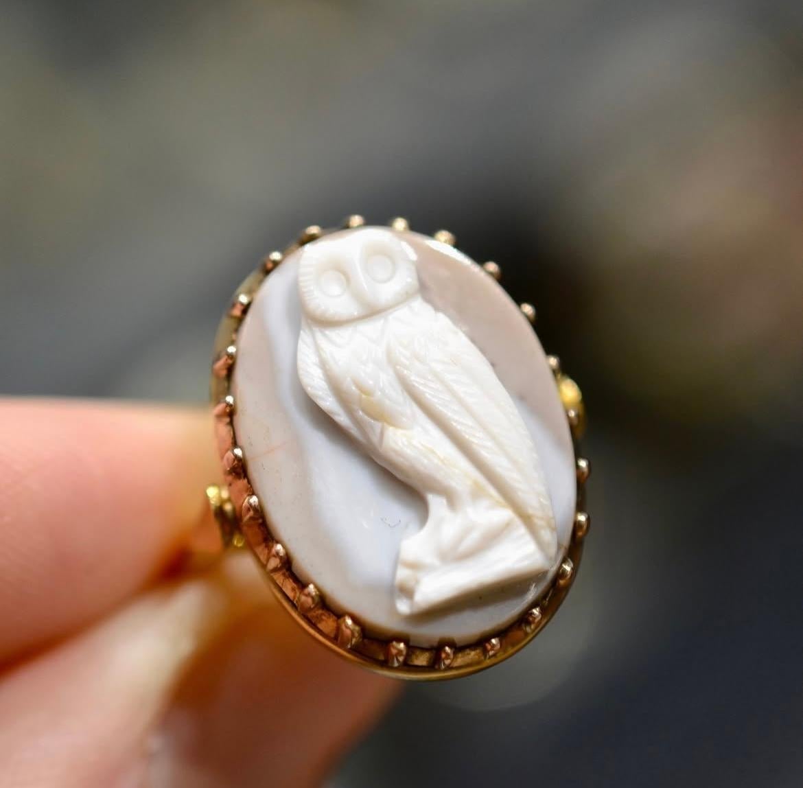 Gold Ring Set With An Agate Owl Cameo, Italian 17th century 1