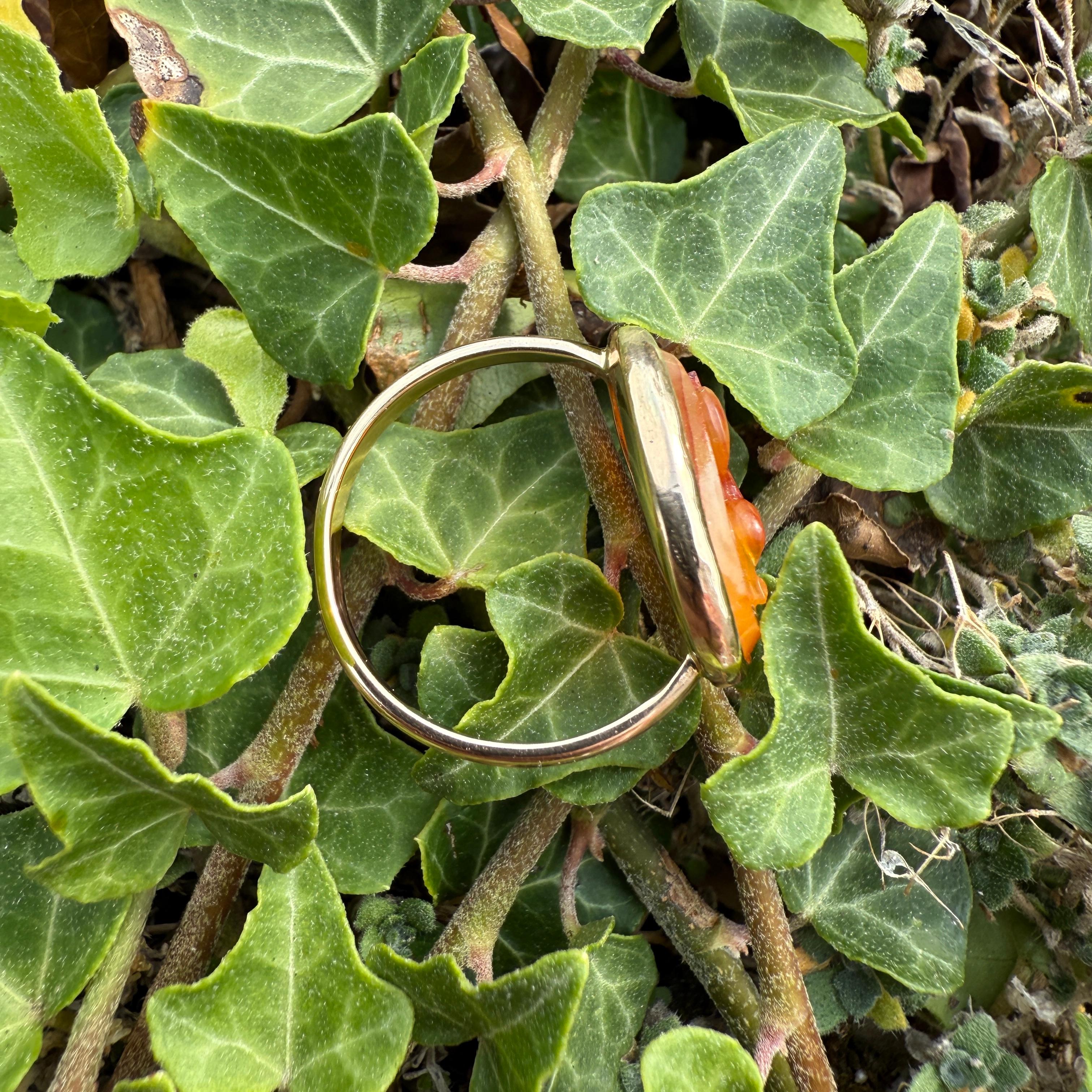 Gold Ring with a Cameo of a Dolphin. Cameo, 16th century; modern gold ring mount For Sale 7