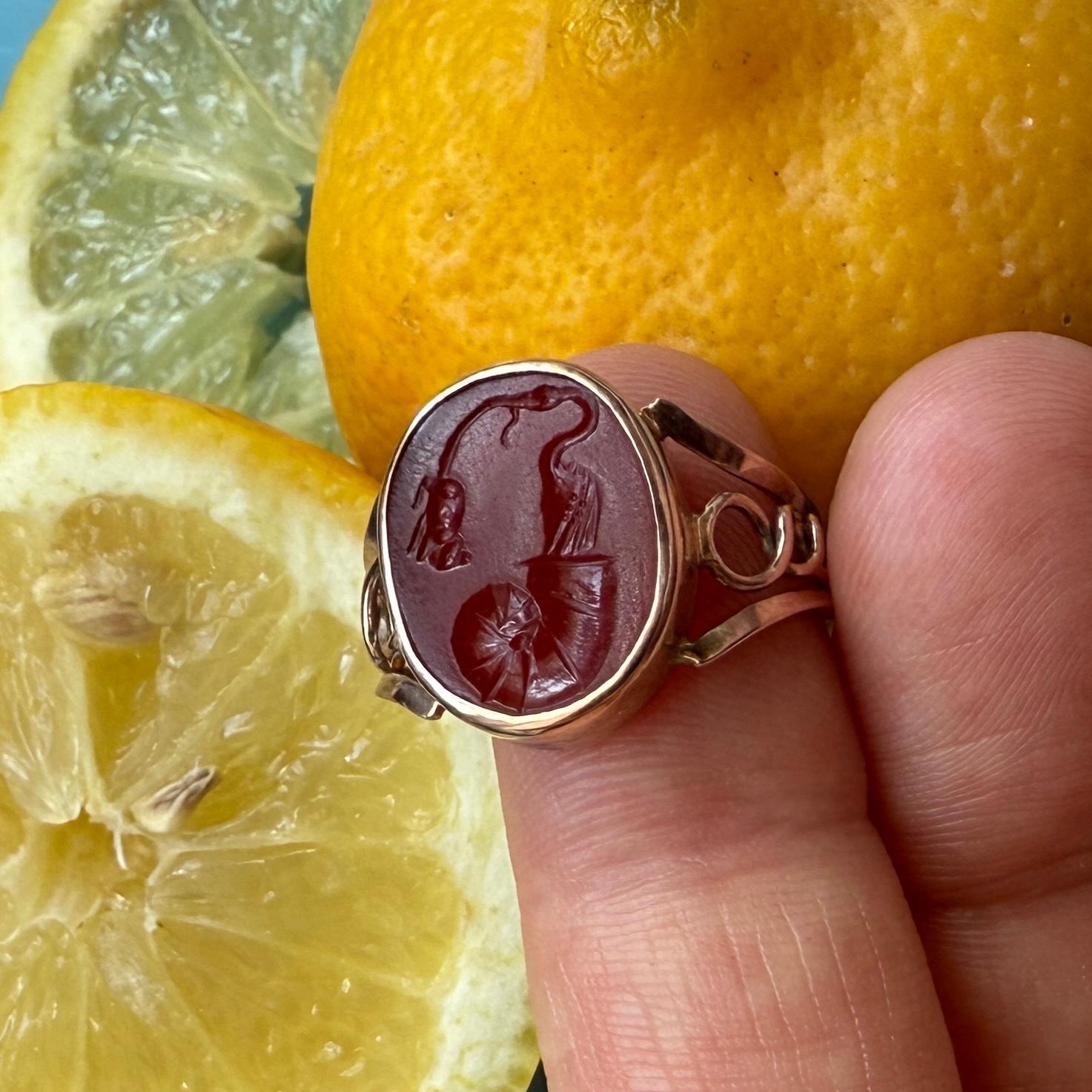 Gold ring with Ancient Roman intaglio of a stork, shell and mouse, 19th century For Sale 6