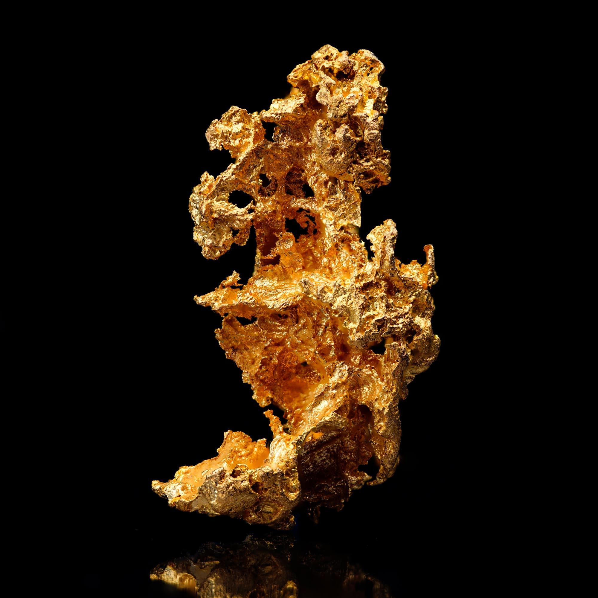 This remarkable Crystallized Gold specimen from the famed California Mockingbird Mine showcases an exceptionally rare and elegant natural formation. Rising 32mm in height, this Crystallized Gold displays intricate sculptural contours and an open,