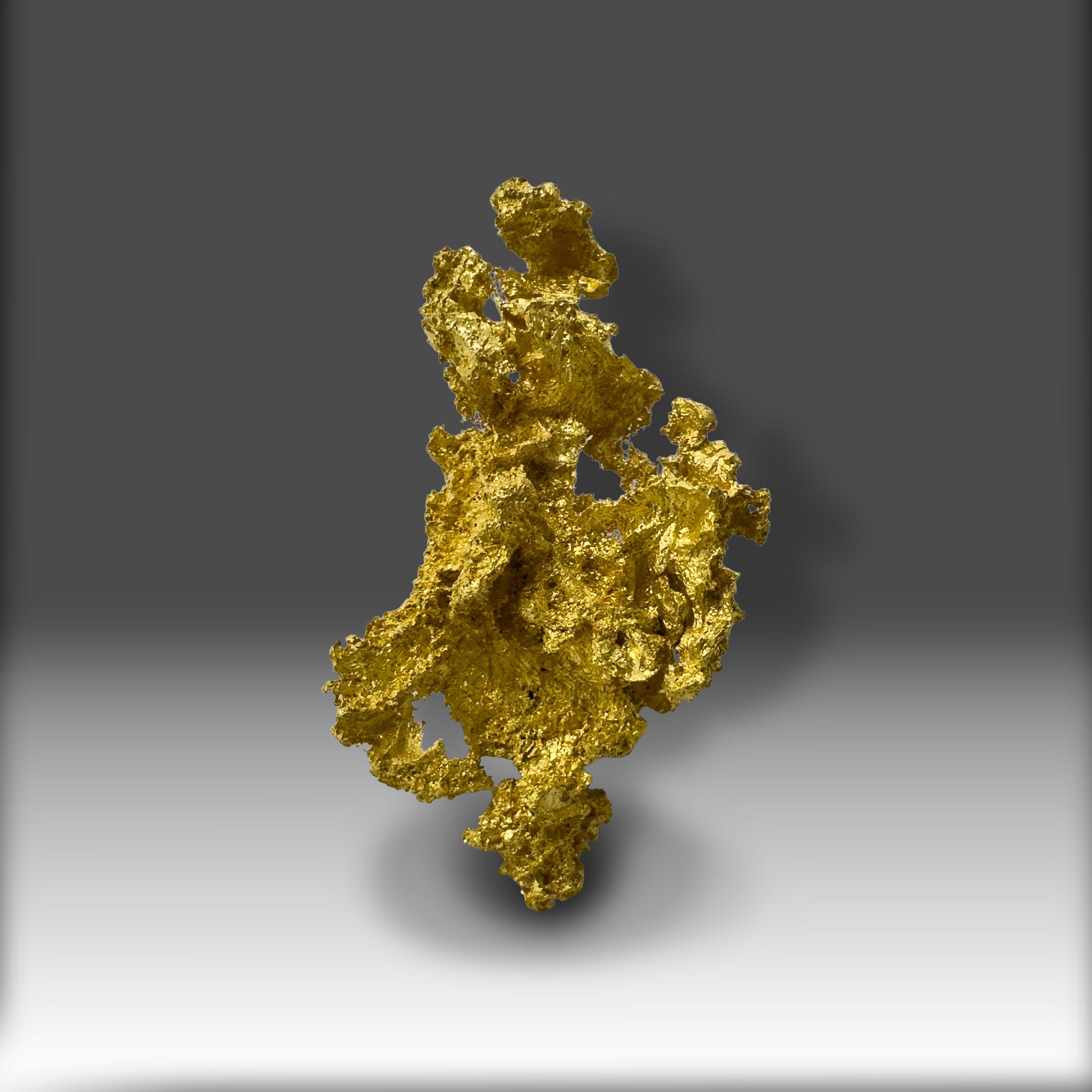 This extraordinary California Gold single crystal, weighing 22.40 grams, exemplifies the finest qualities of naturally crystallized native gold. Towering 50 millimeters high, this sculptural specimen features an open, branching structure with rich