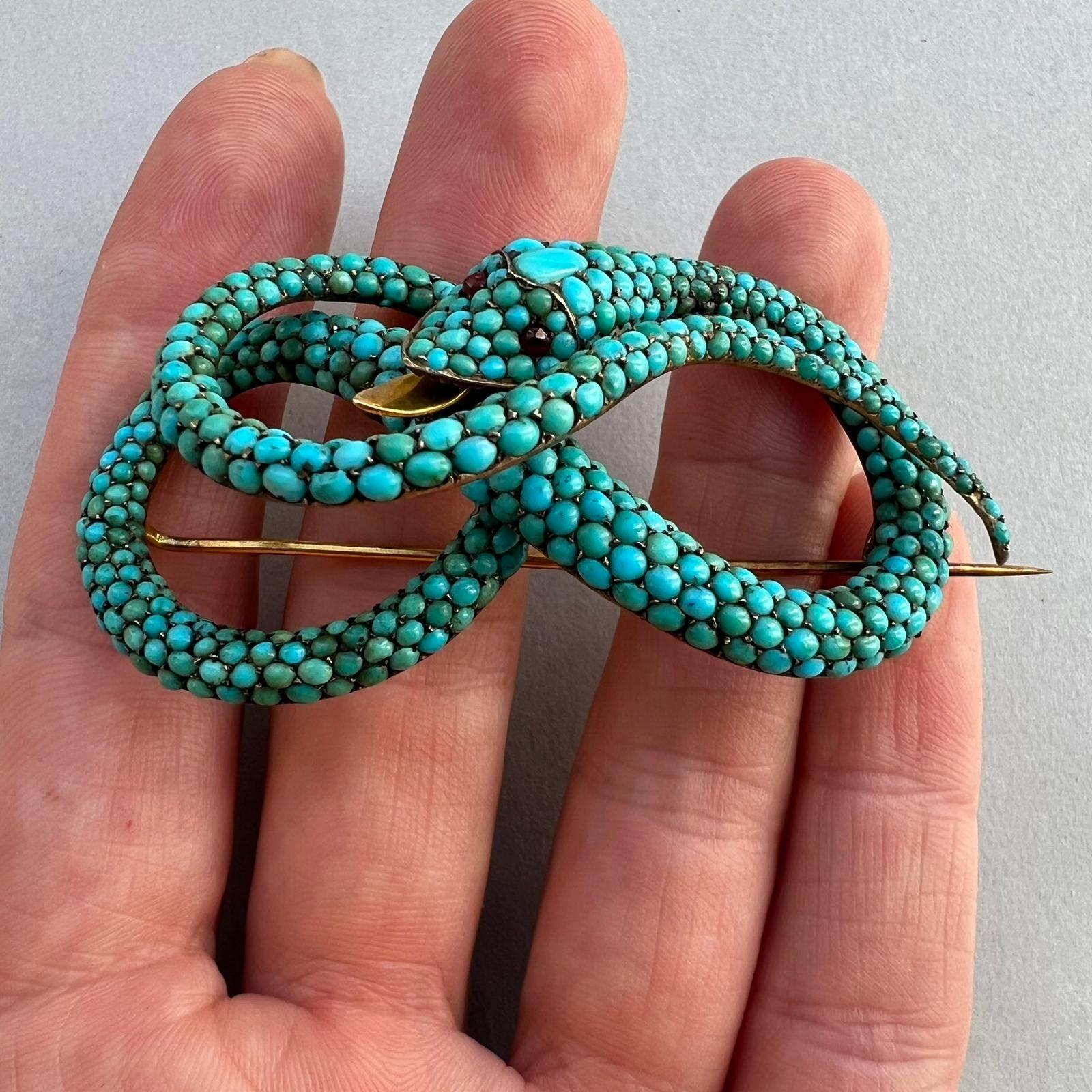 turquoise snake