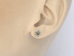 Gold Solitaire Earrings with Champagne Diamond