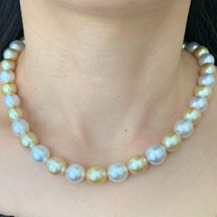 Gold White South Sea Pearl Choker Necklace 'N105'