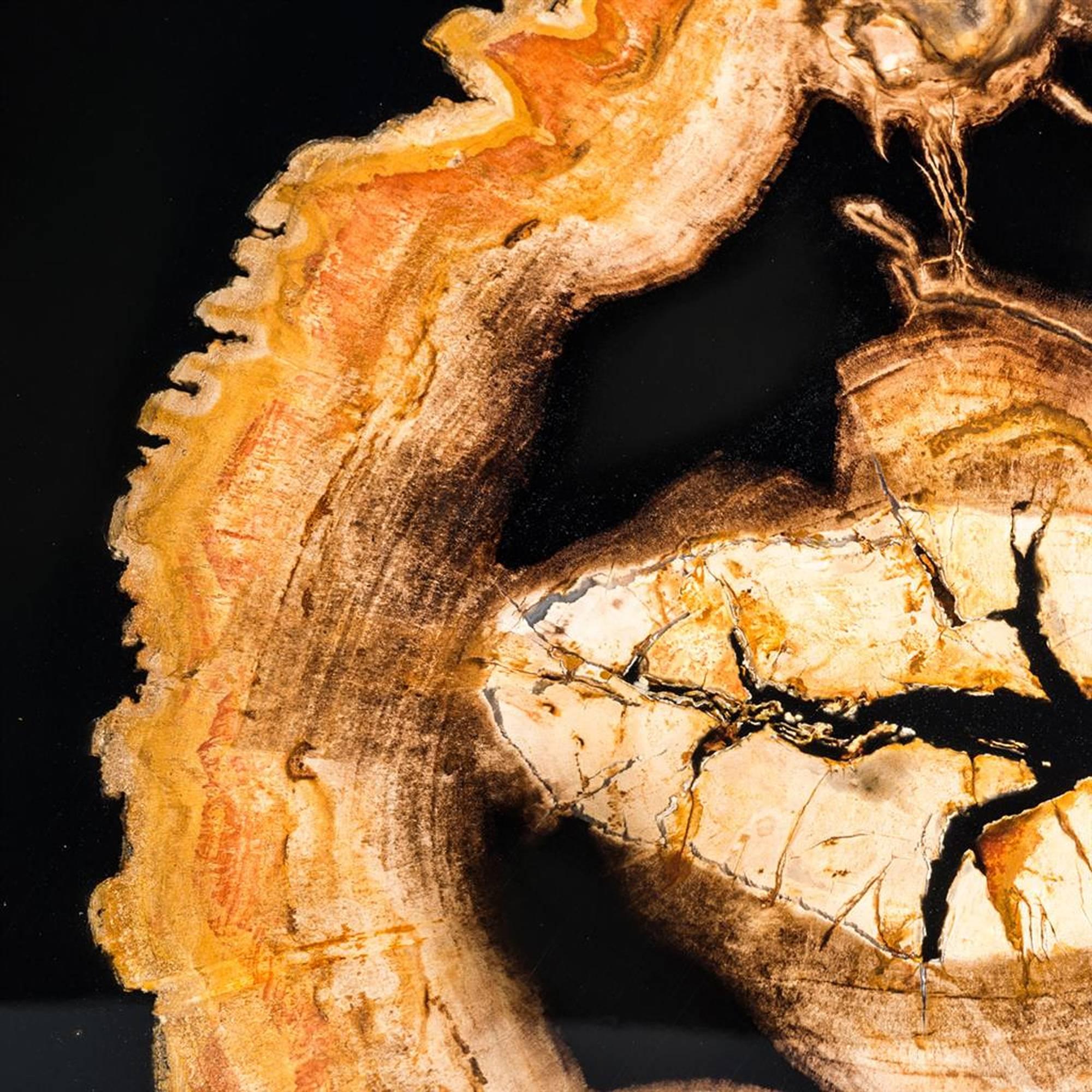 Hand-Crafted Golded Petrified Wood Coffee Table For Sale