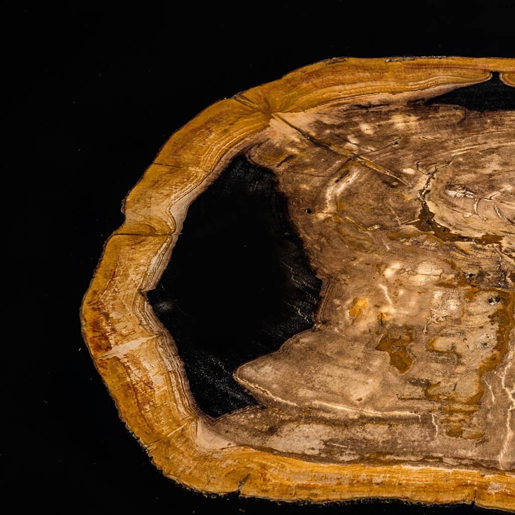Golded Petrified Wood Coffee Table In Excellent Condition For Sale In Paris, FR