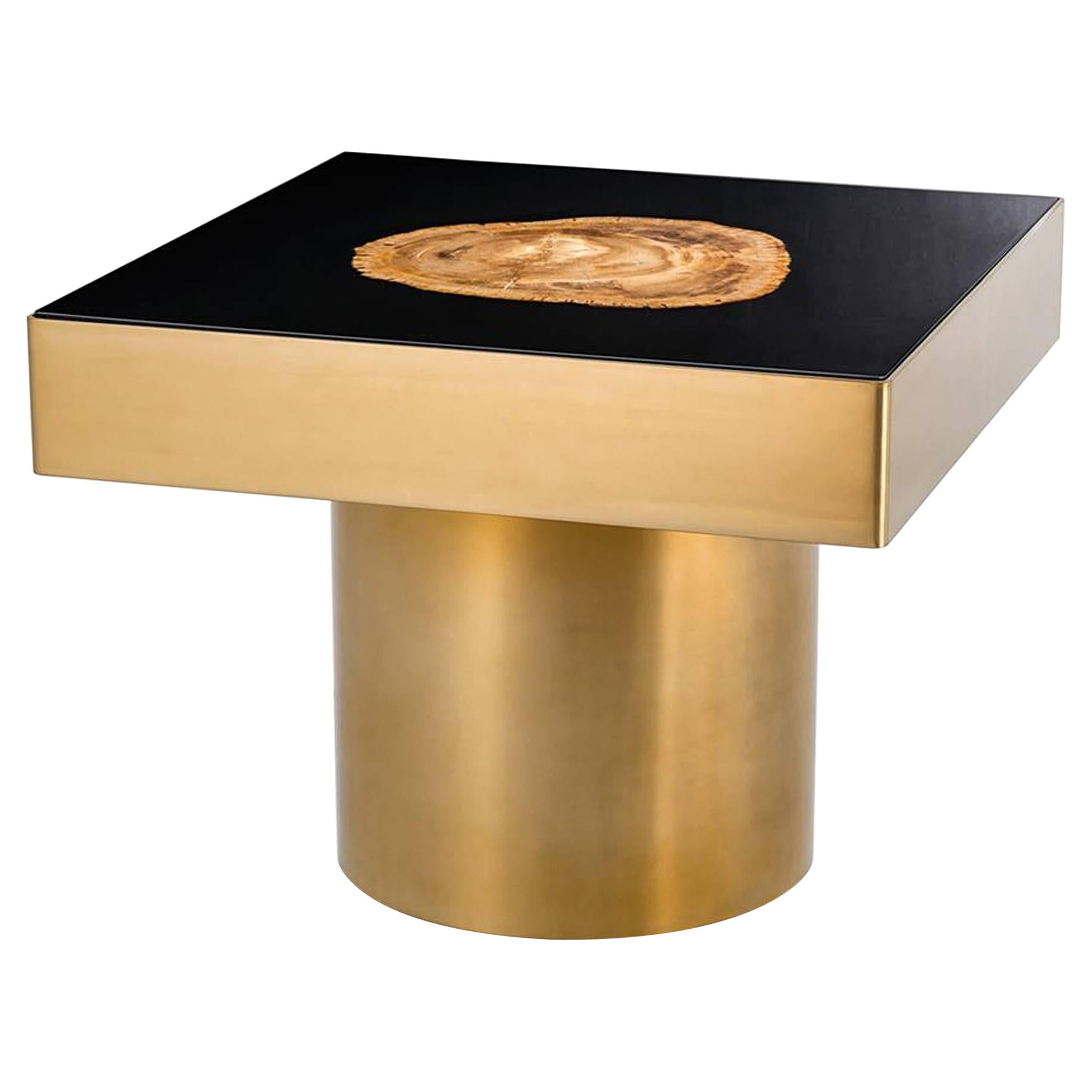 Golded Petrified Wood Side Table