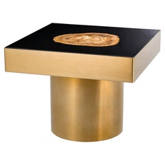 Golded Petrified Wood Side Table