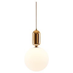 Golden Aballs T Gr Pendant Lamp by Parachilna