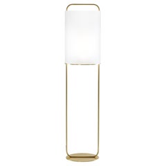 Floor Lamps