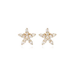 Goldene Aurora 14K Gelbgold Stern-Ohrringe