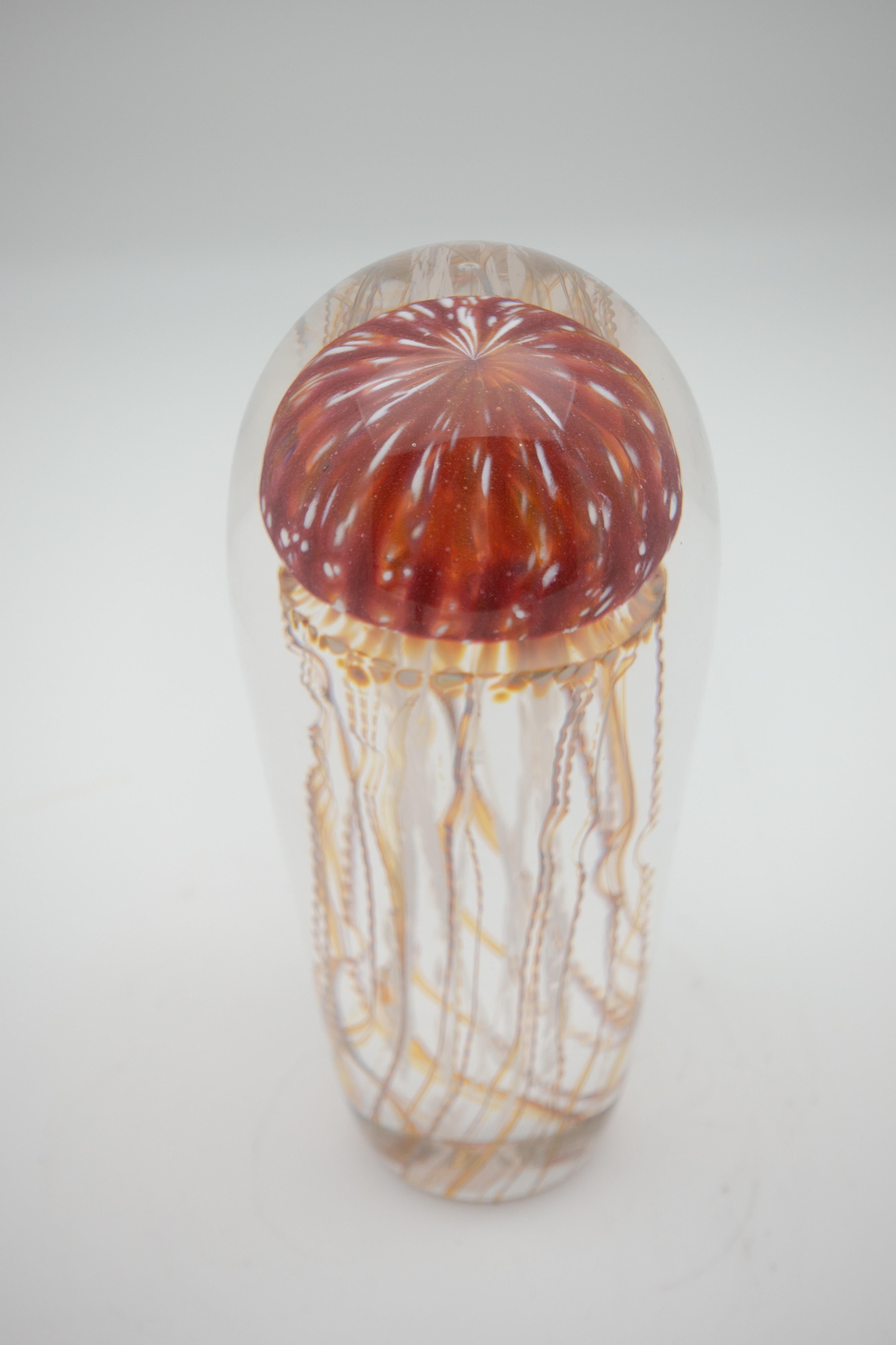 Golden barberry glass jellyfish sculpture. Hand blown glass sculpture of a jellyfish in golden barberry. Made in the USA. Other color variations available.