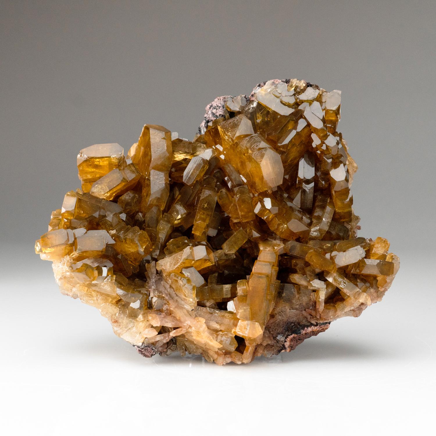 From Nandan County, Hechi, Guangxi, China

 

Complex intersecting formation of lustrous gem translucent golden barite crystals with lustrous faces and sharp modified rhombic faces.

 

5 lbs, 7 x 3 x 5 inches