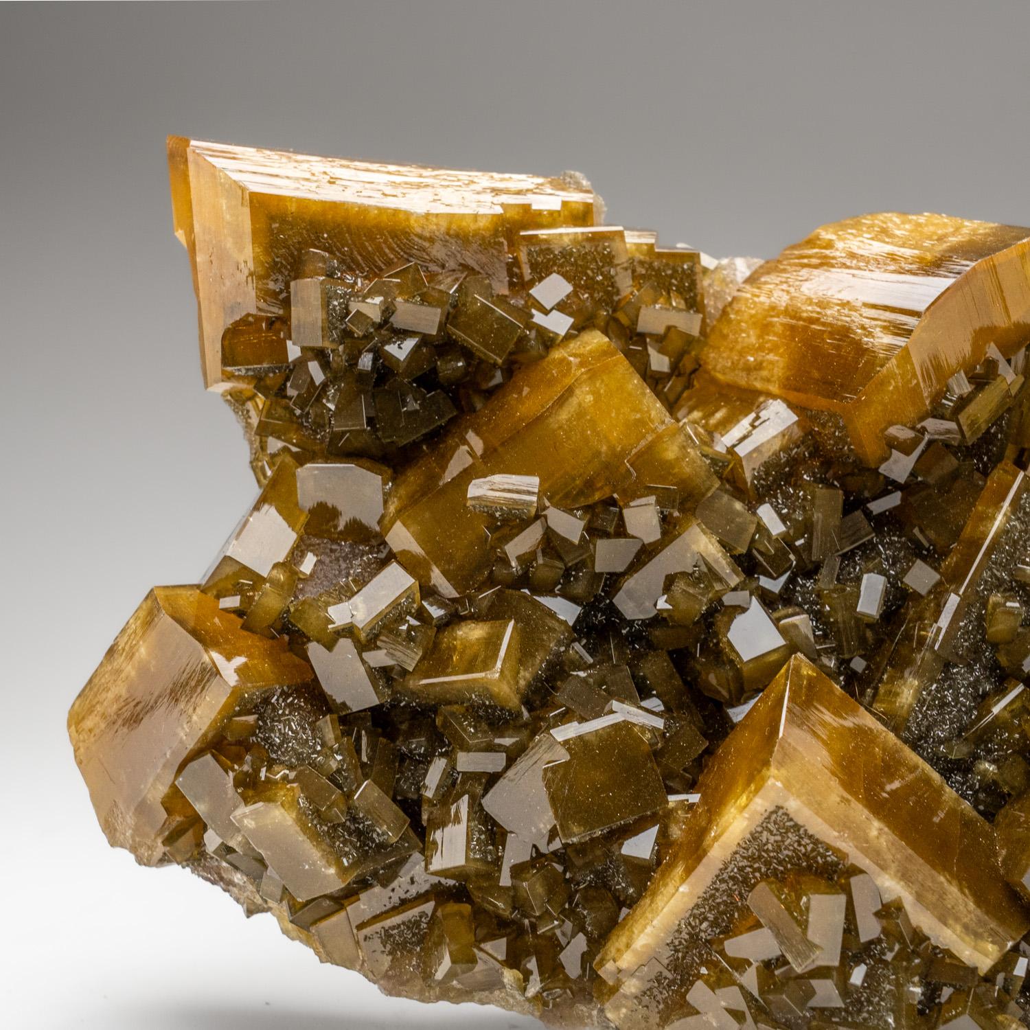 Cristalli di barite giallo-marrone trasparenti e brillanti che ricoprono completamente un lato di una matrice a doppia faccia. Sono visibili cristalli di pirite o calcopirite giallo-metallica inclusi nella barite.

Peso: 7,5 lbs, Dimensioni: 9 x 3 x