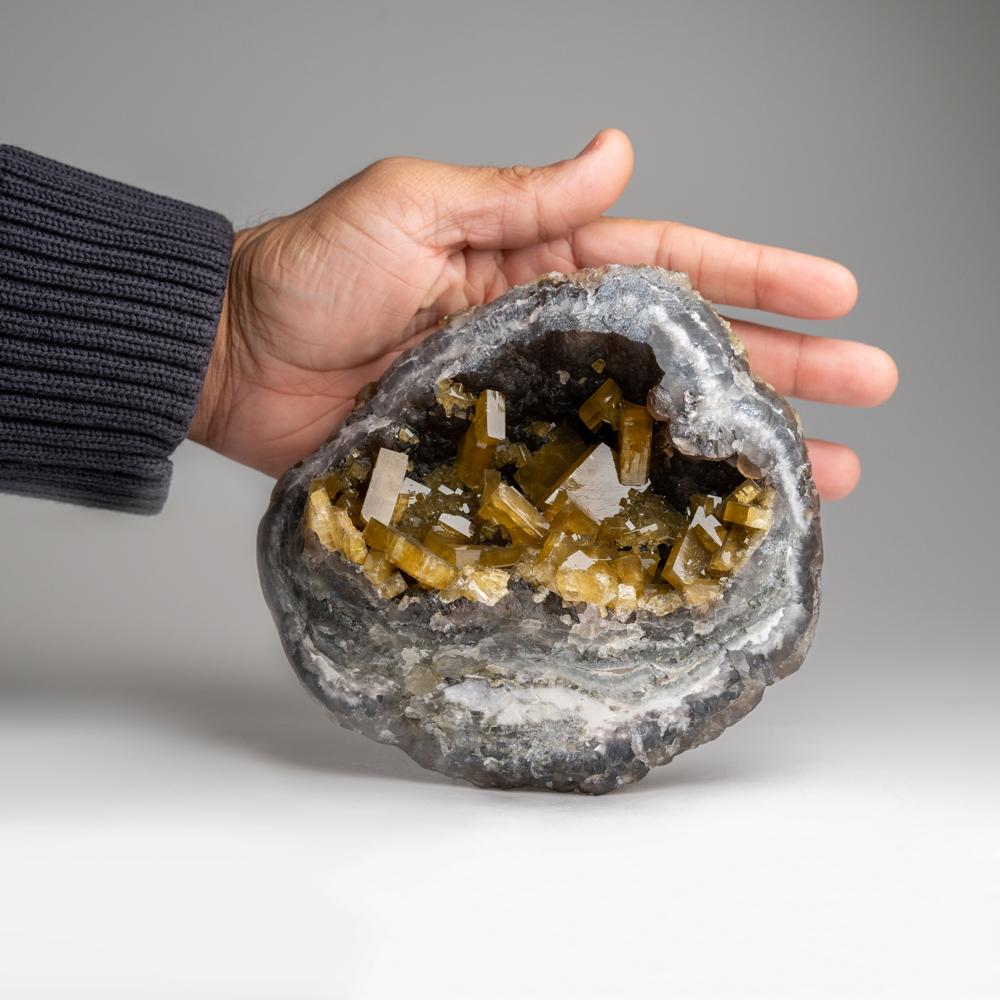 De Lushi, province du Henan, Chine

Géode composée de grands cristaux de barytine jaune-tan et de fluorine. Les barytines sont translucides et présentent des fantômes de croissance interne.


Poids : 4.25 lbs, Dimensions : 6 x 2 x 5.5 pouces
