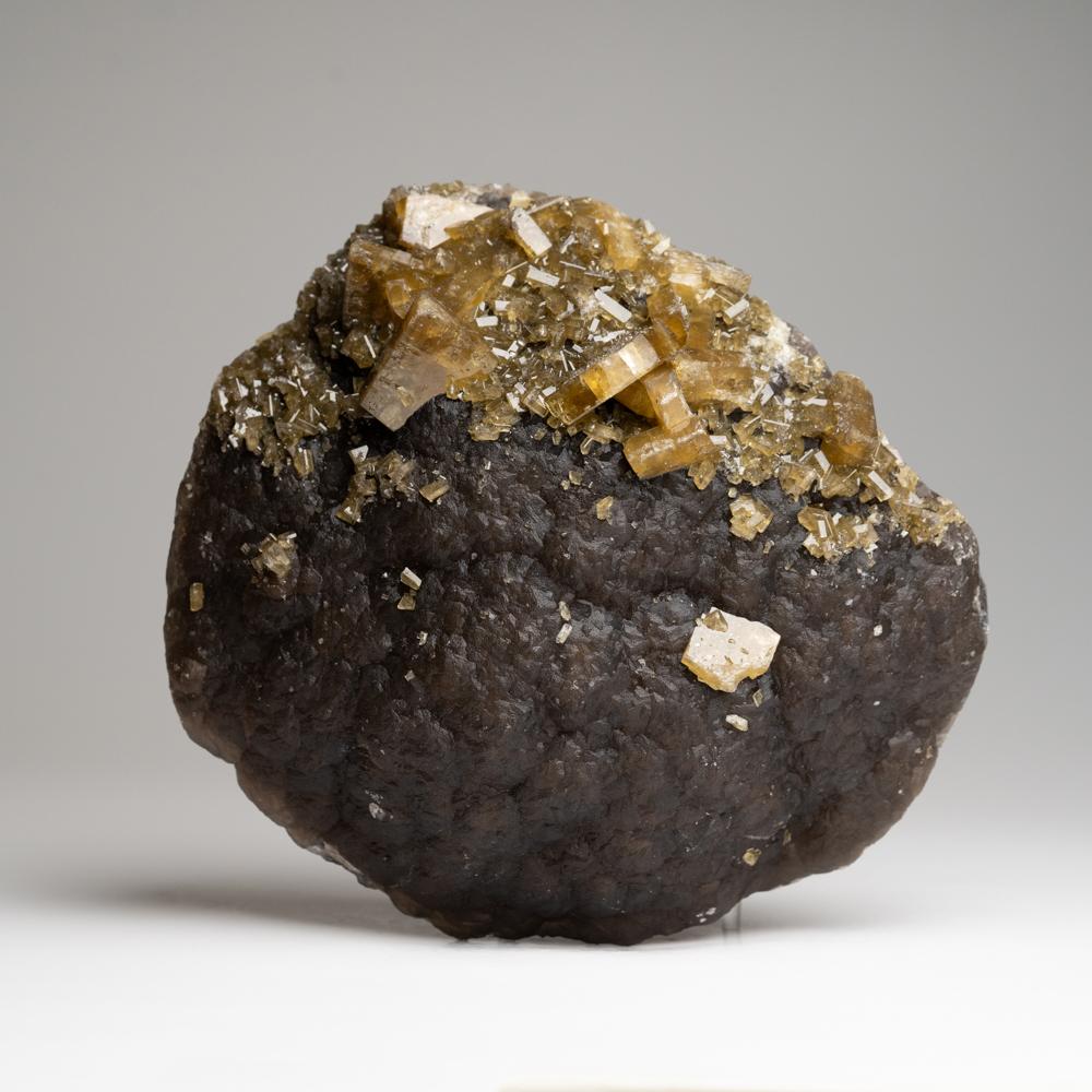 Barite dorée et fluorine de Lushi, province de Henan, Chine (4,25 livres) Neuf - En vente à New York, NY