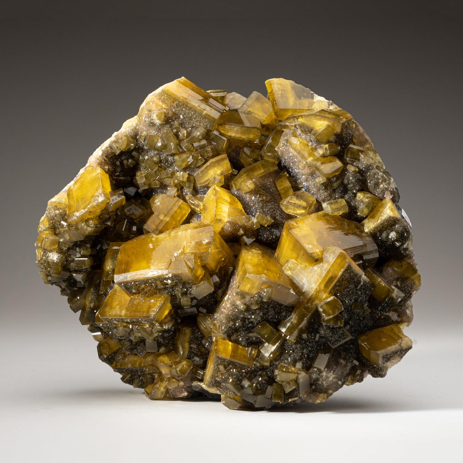 Golden Barite with Marcasite Crystals from Nandan County, Hechi, Guangxi, China.

Complex intersecting formation of lustrous gem translucent golden barite crystals with lustrous faces and sharp modified rhombic faces.

Weight: 8.15 lbs,